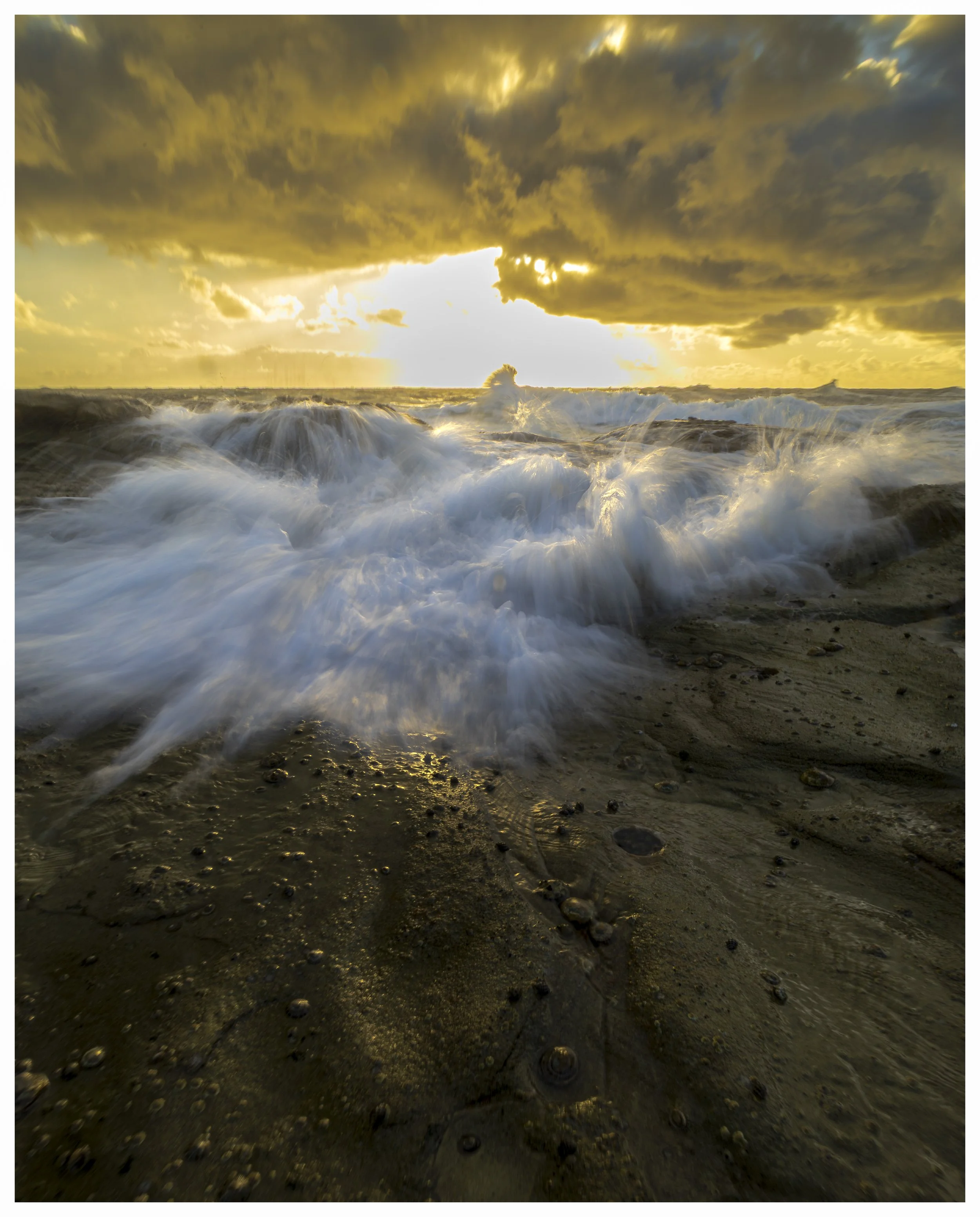 _MGL4726-Enhanced-NR-Edit.jpg