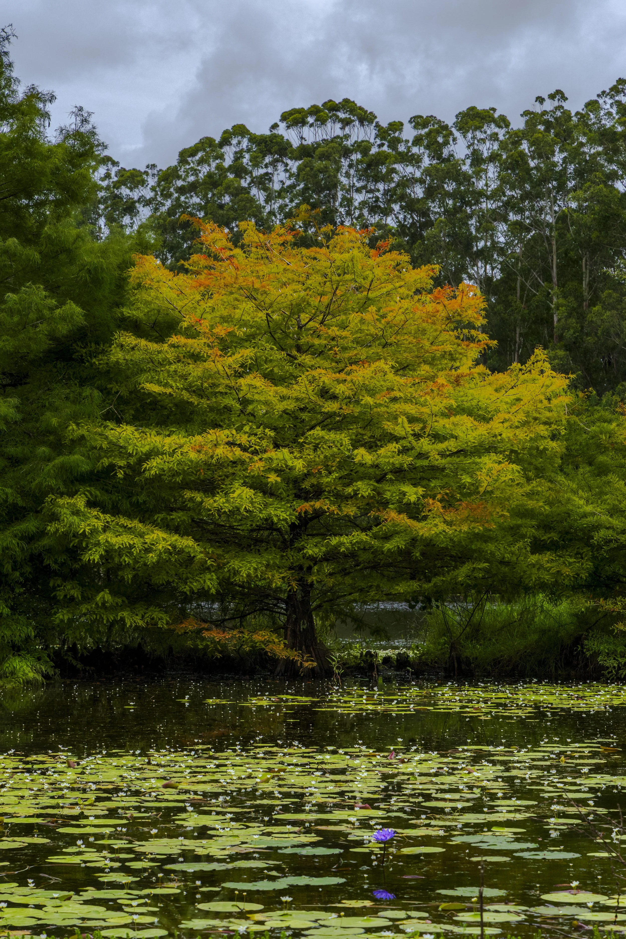 _MGL5082-Edit.jpg