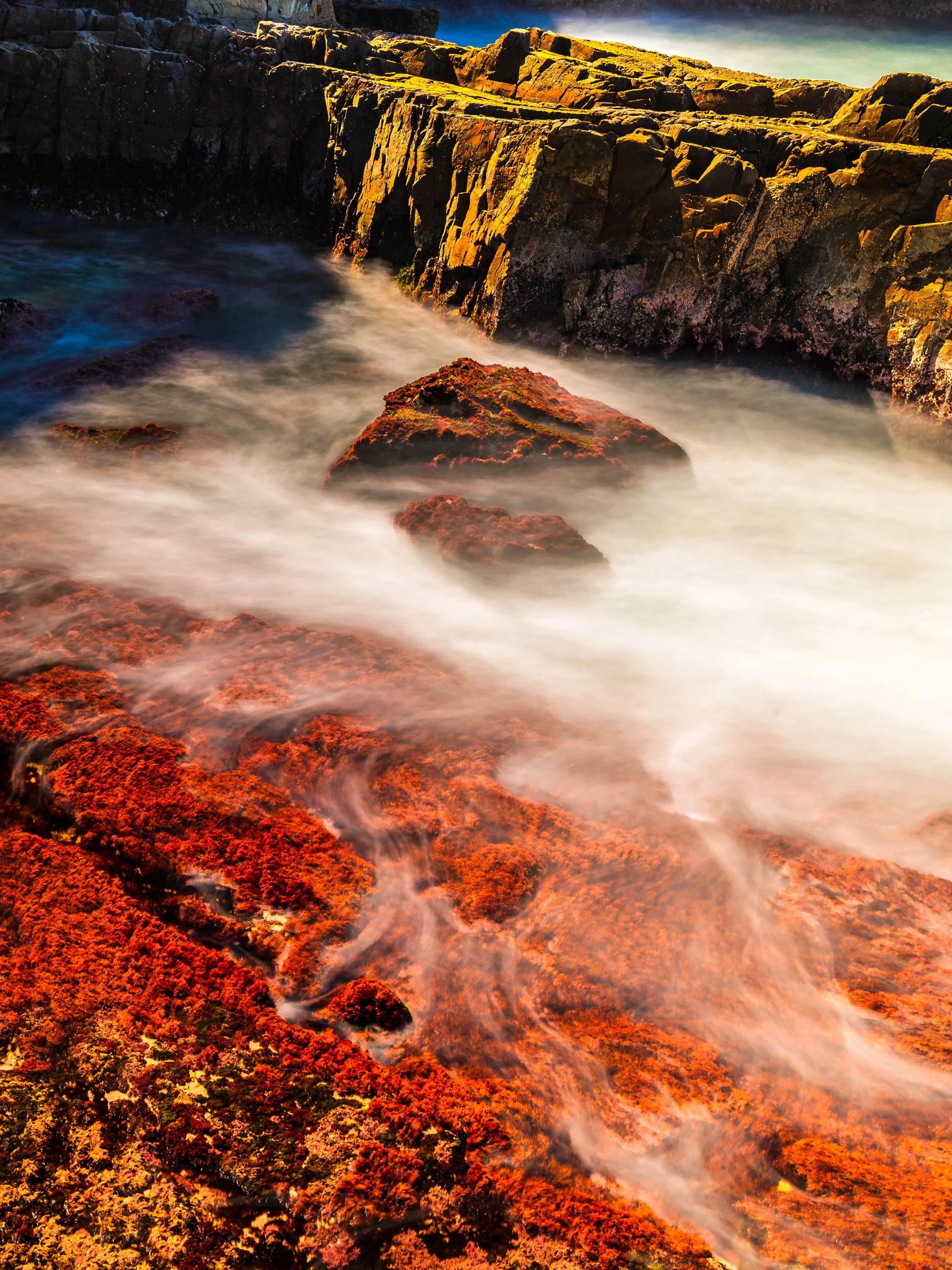 1S5A3818-Edit.jpg