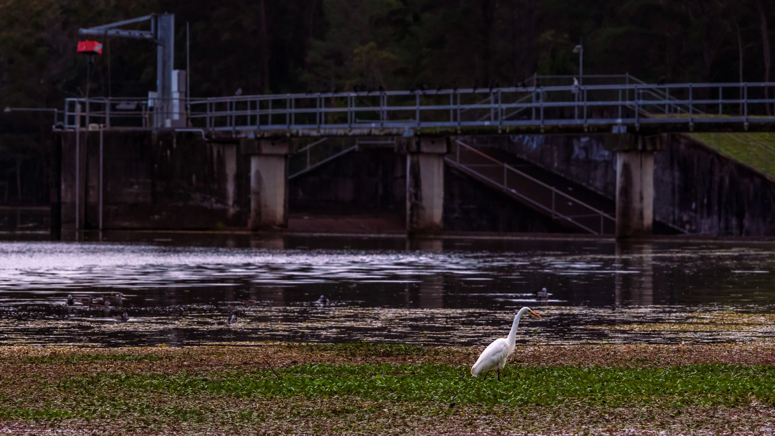 1S5A3963-Edit.jpg