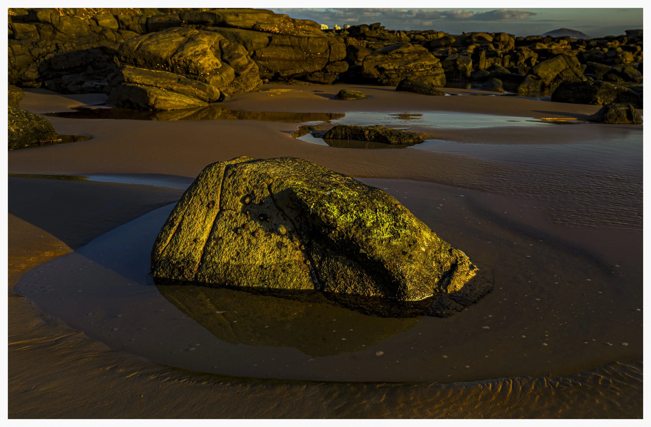 _MGL4597-Enhanced-NR-Edit.jpg