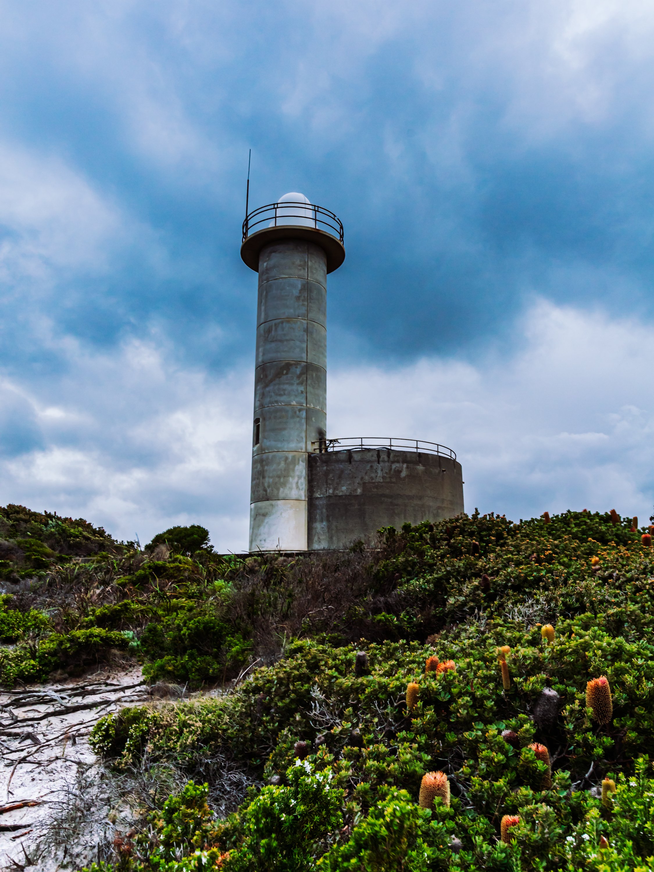 IMG_0118-Edit.jpg