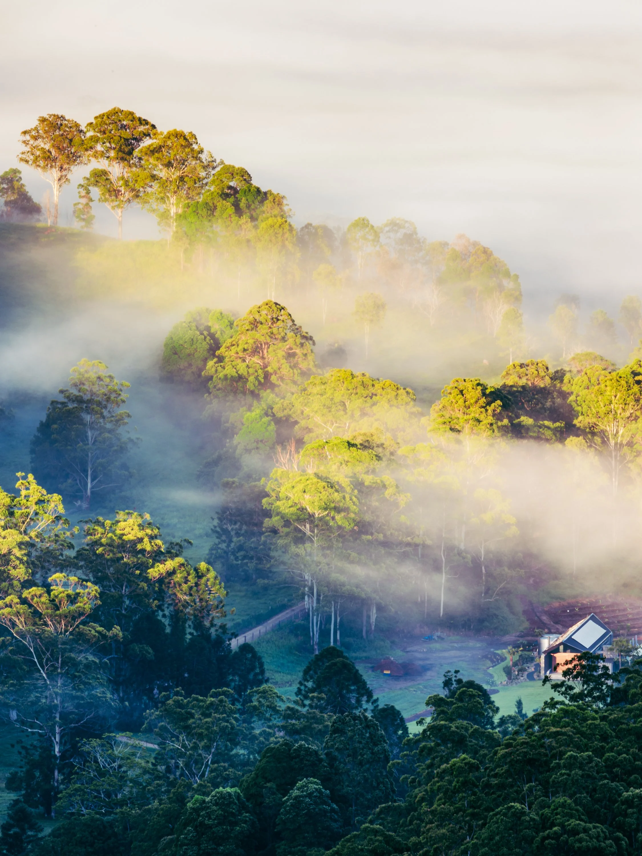 1S5A0737-Edit.jpg
