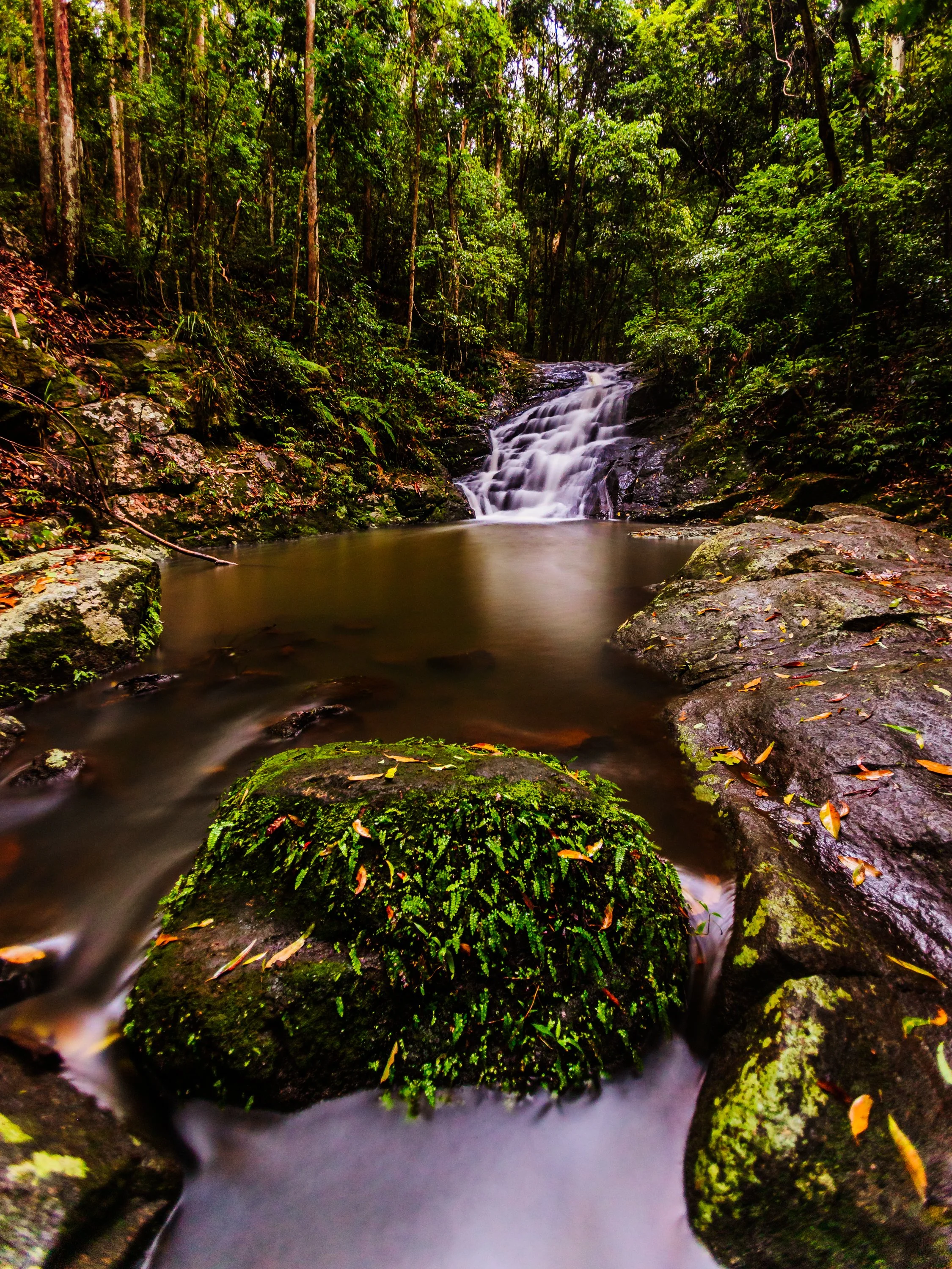 1S5A0174-Edit.jpg