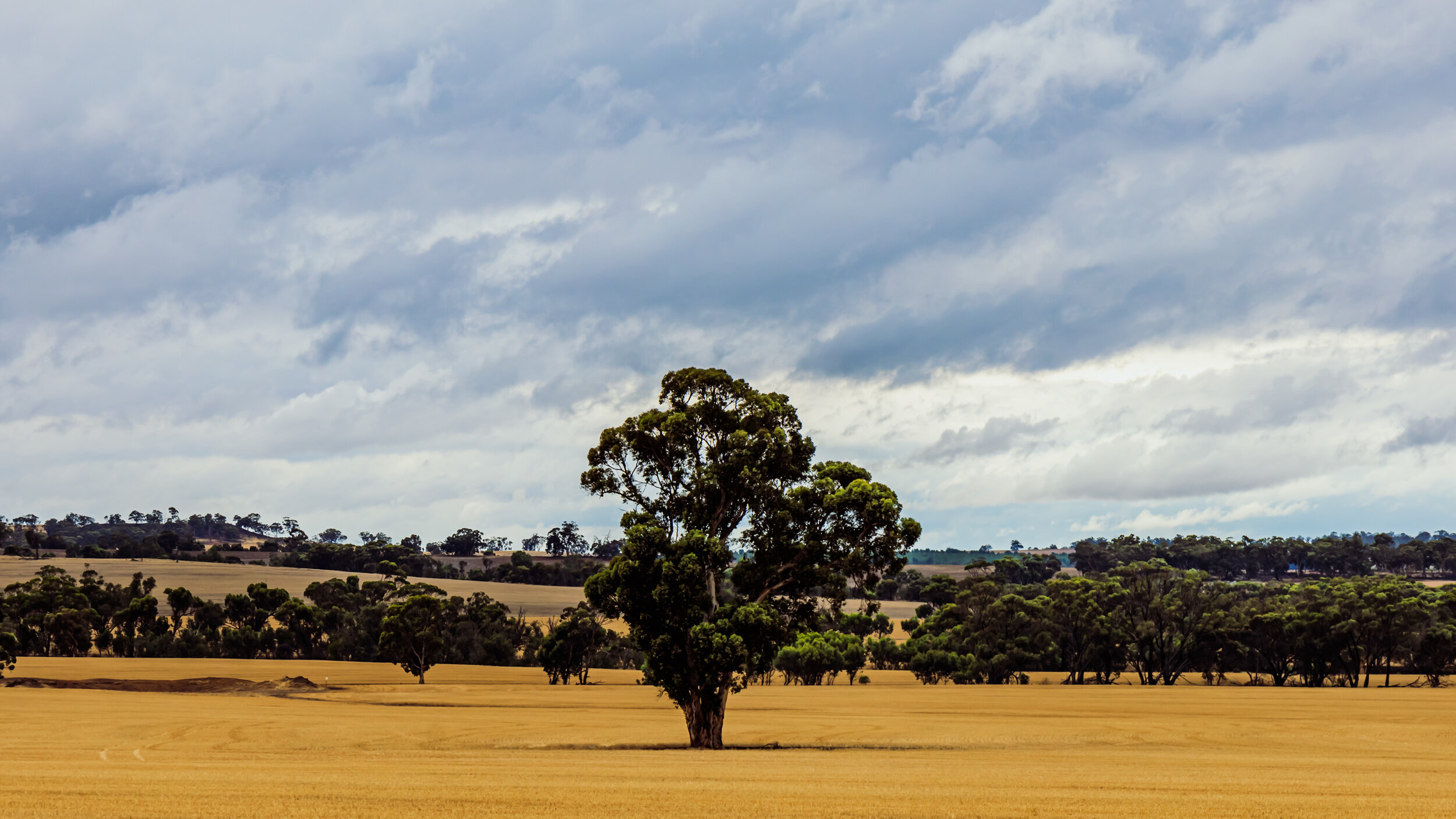 IMG_6770-Edit.jpg