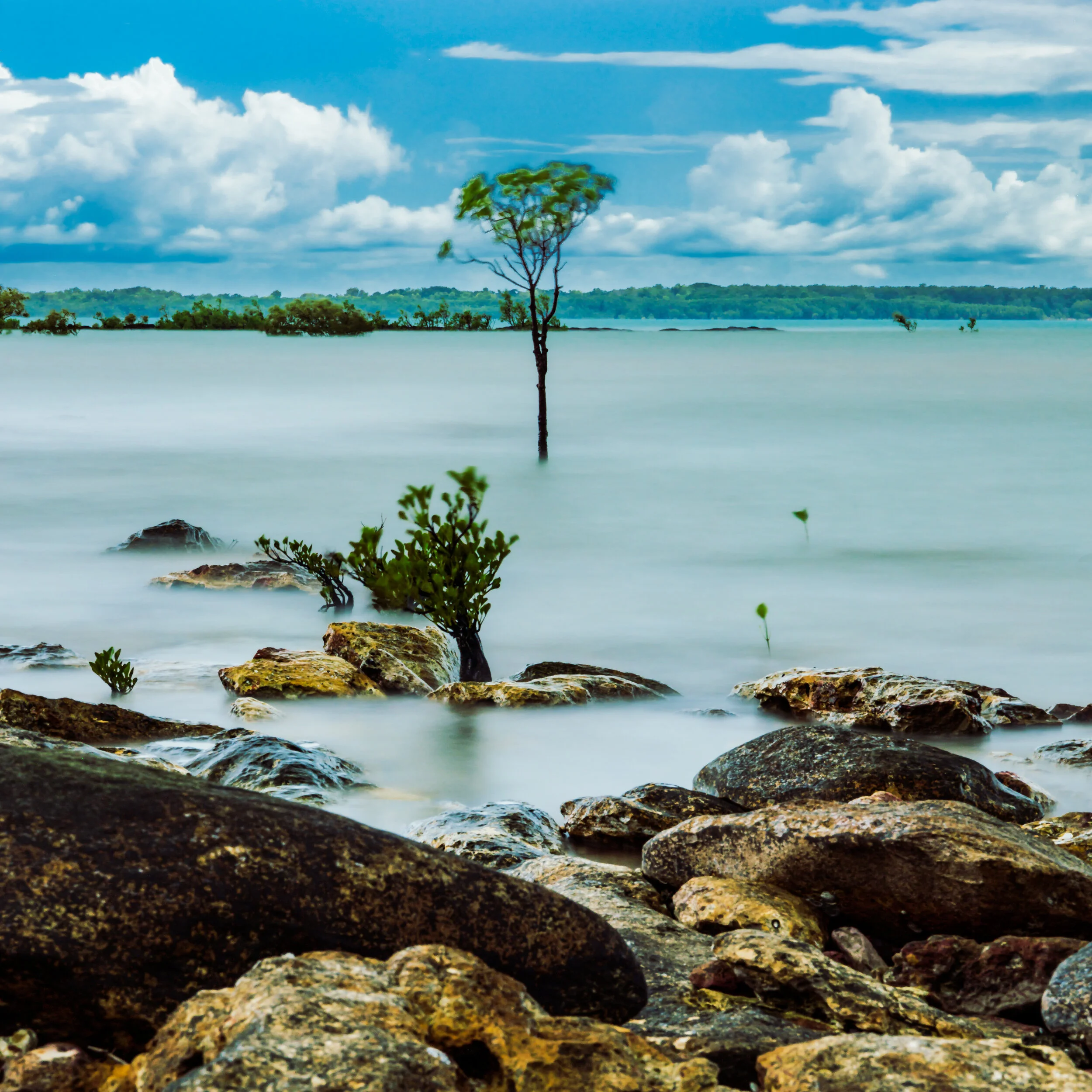 IMG_6900-Enhanced-Edit.jpg