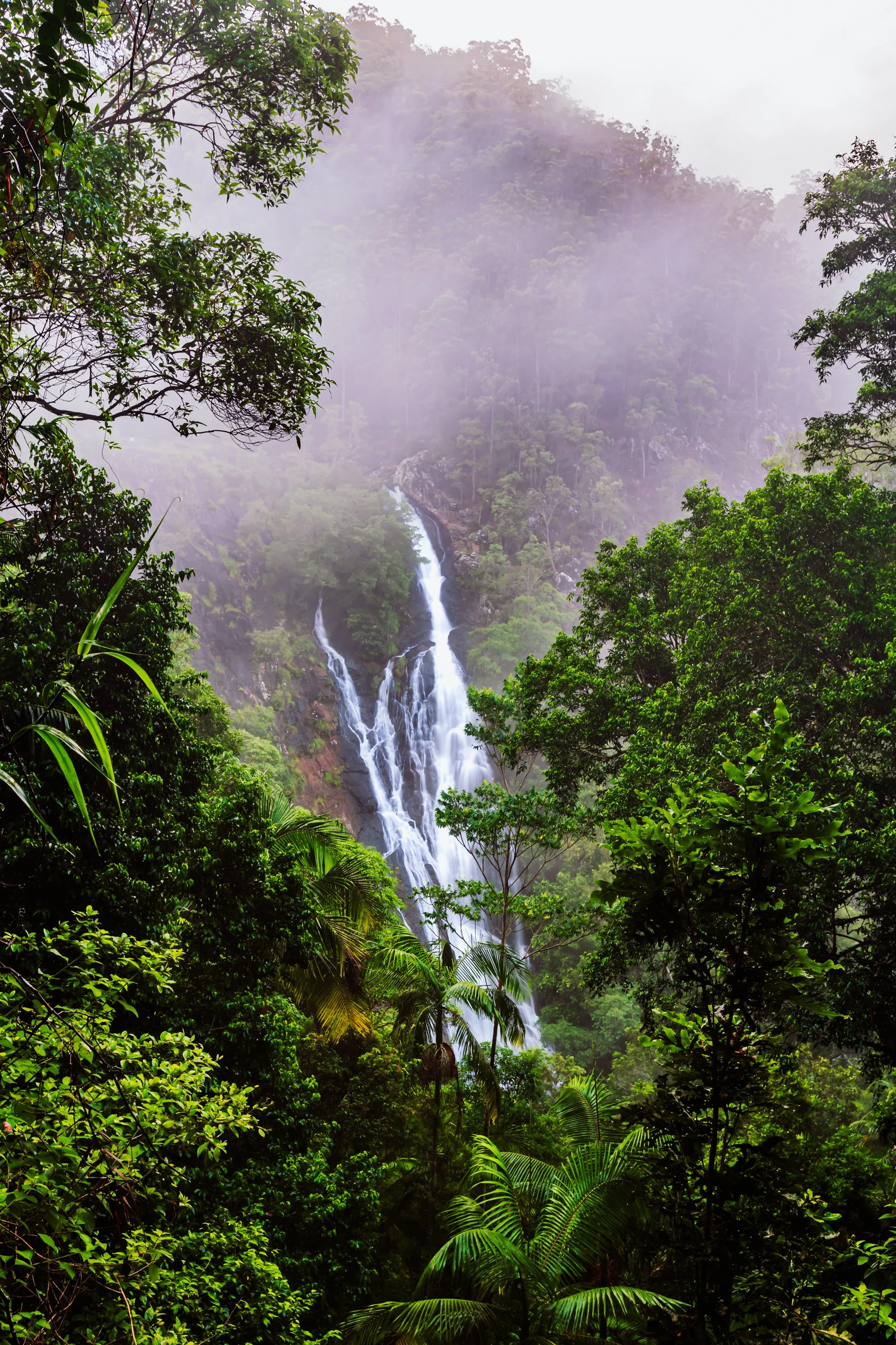 1S5A0236-Edit.jpg
