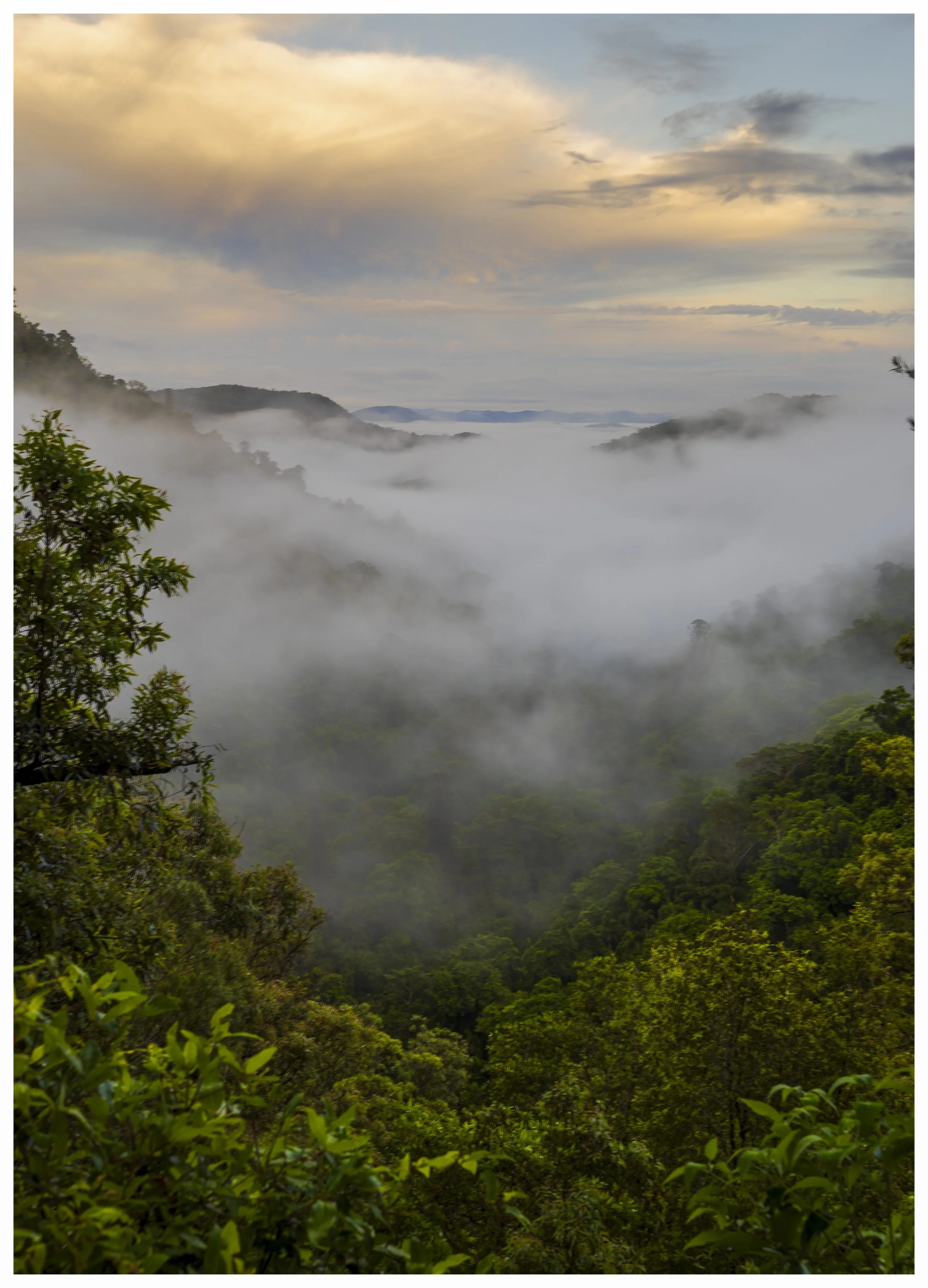 _MGL3996-Edit.jpg