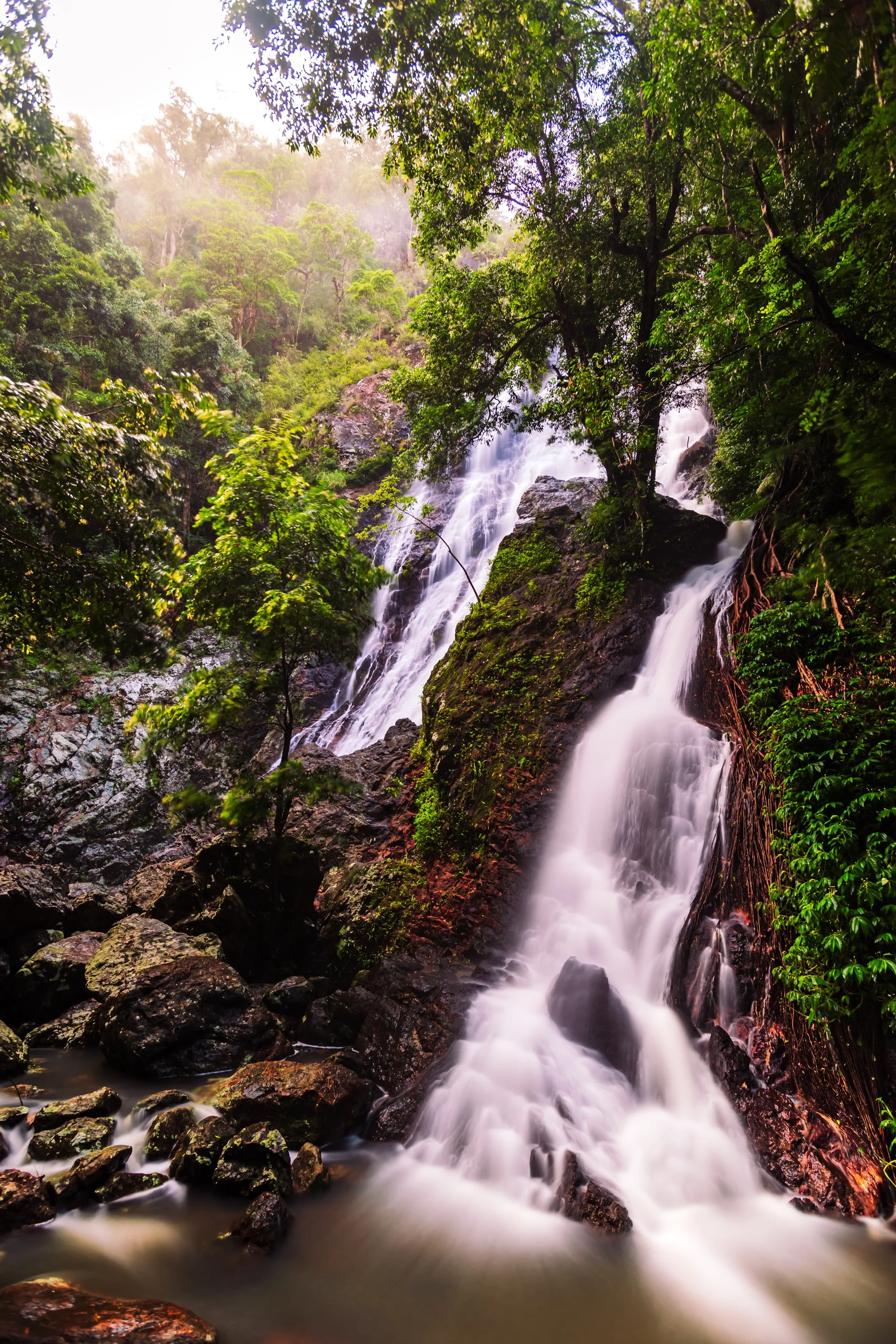 1S5A0319-Edit.jpg