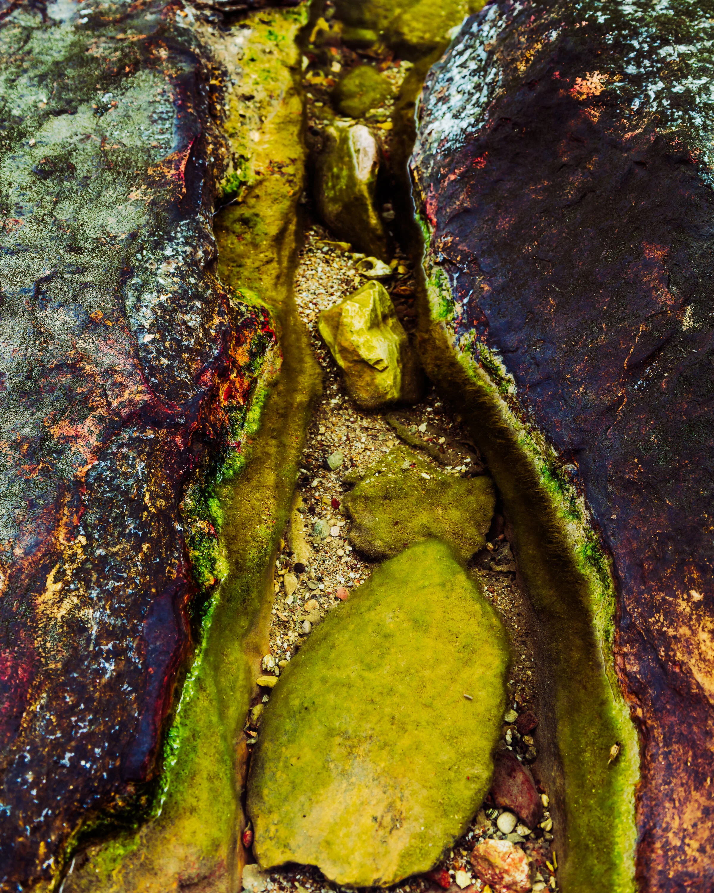 IMG_6895-Enhanced-Edit.jpg