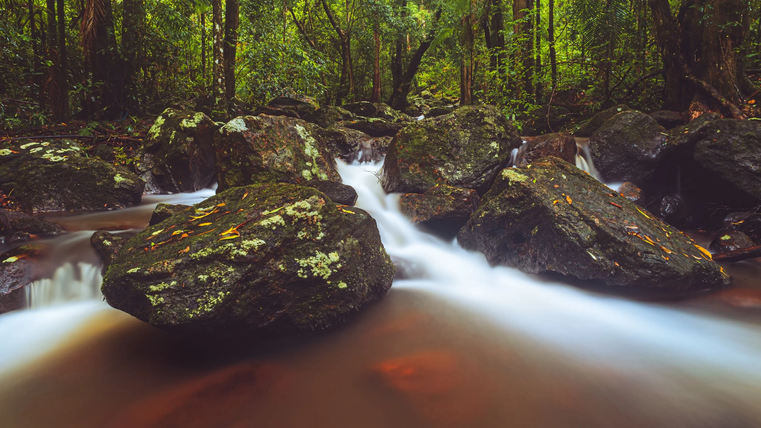 ashleykendrayKondillaFogFalls-12.jpg