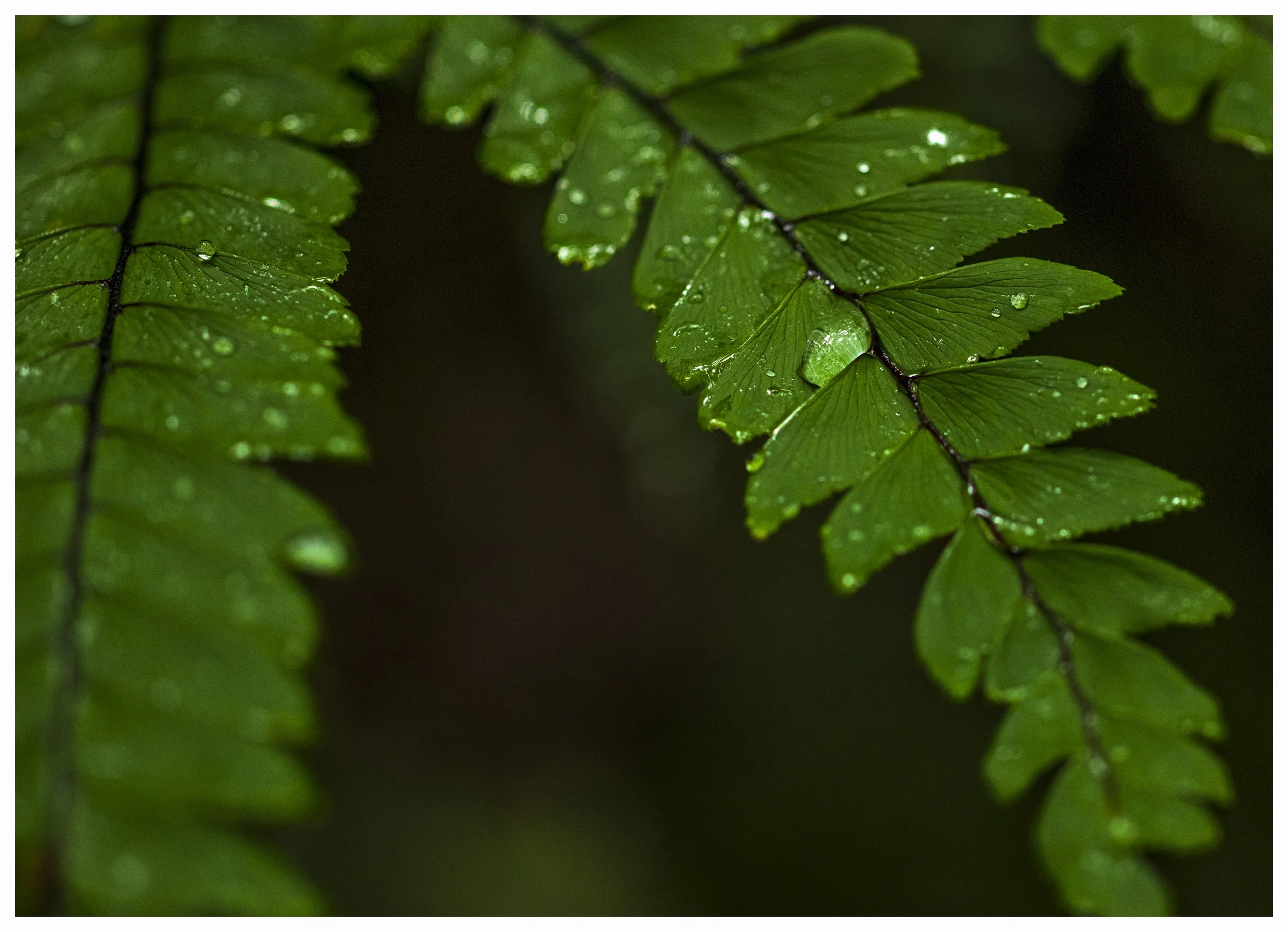 _MGL4925-Edit.jpg