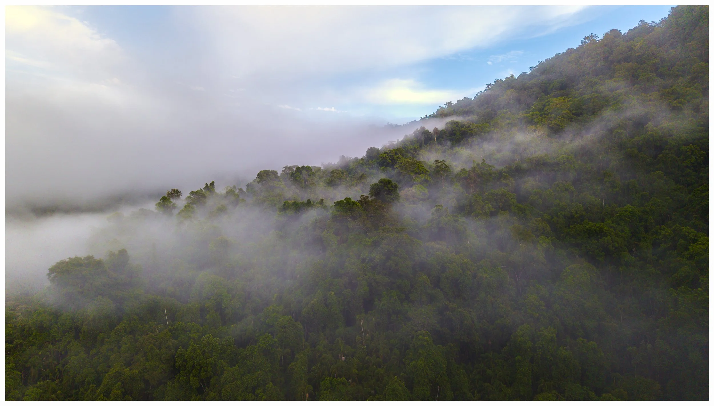DJI_20250110060914_0019_D-Edit.jpg