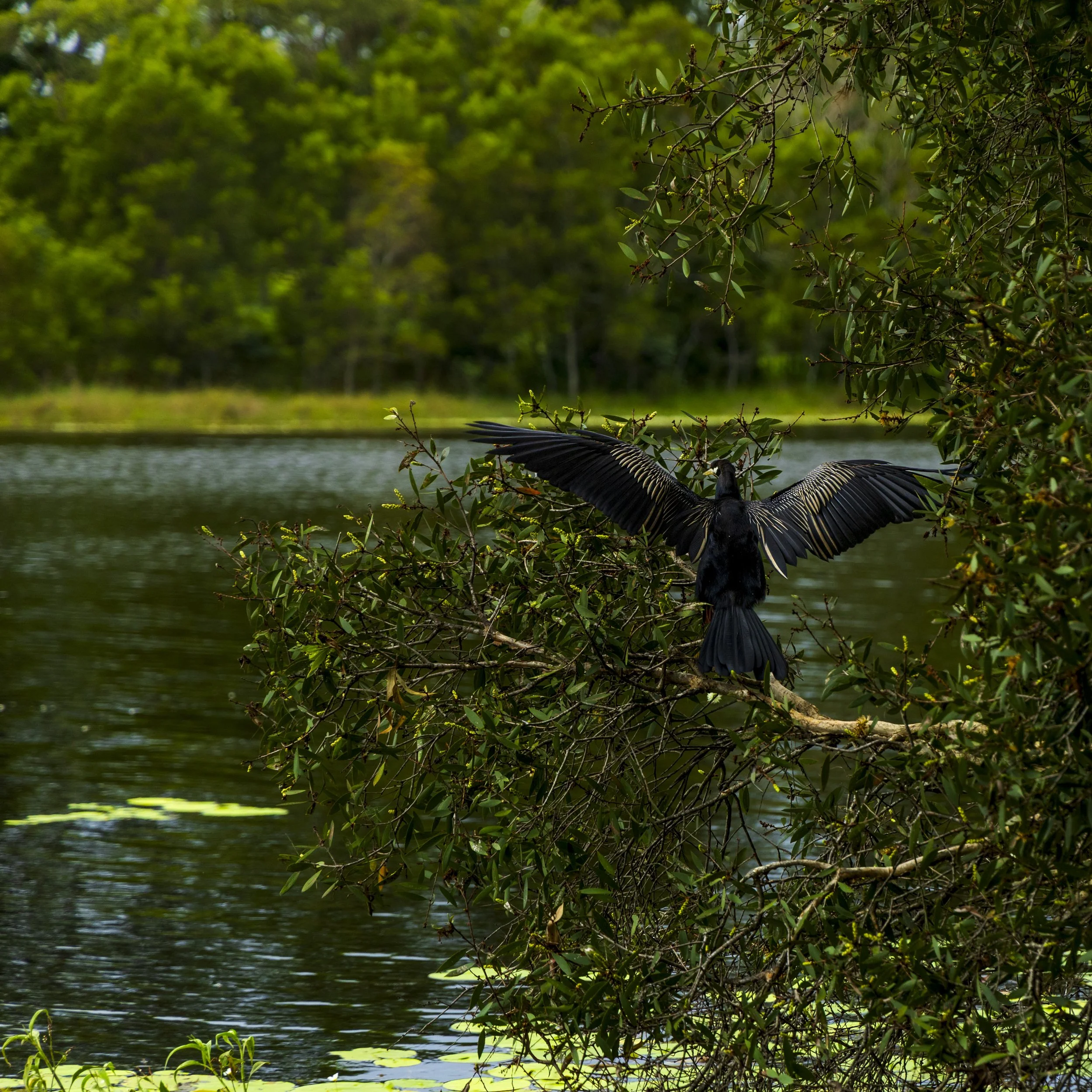 _MGL5107-Edit.jpg