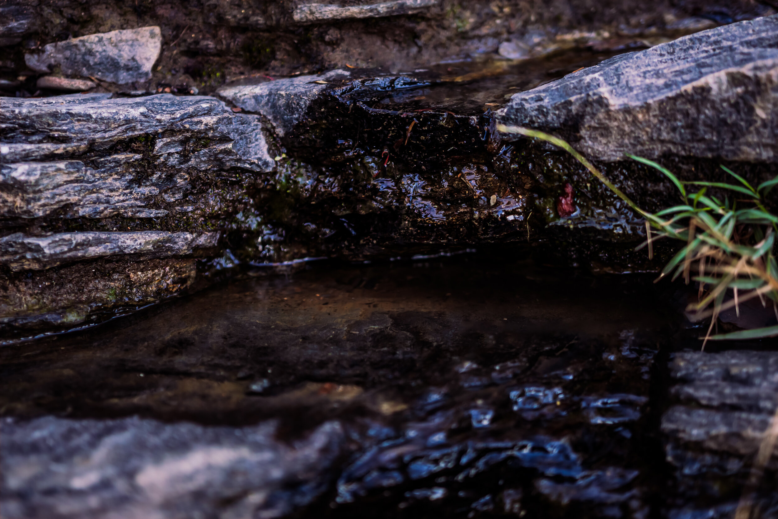 day 10-14.jpg