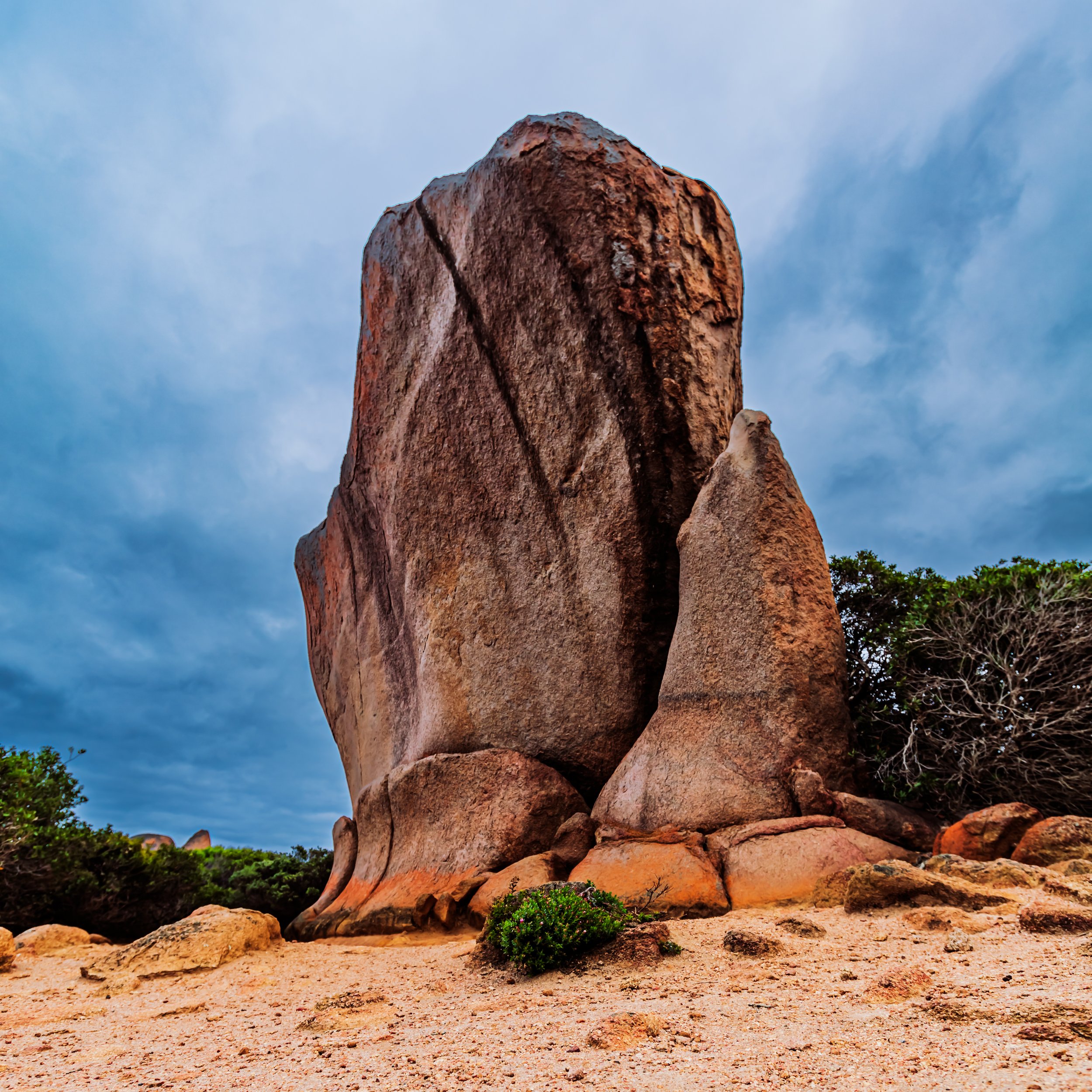 IMG_9881-Edit.jpg