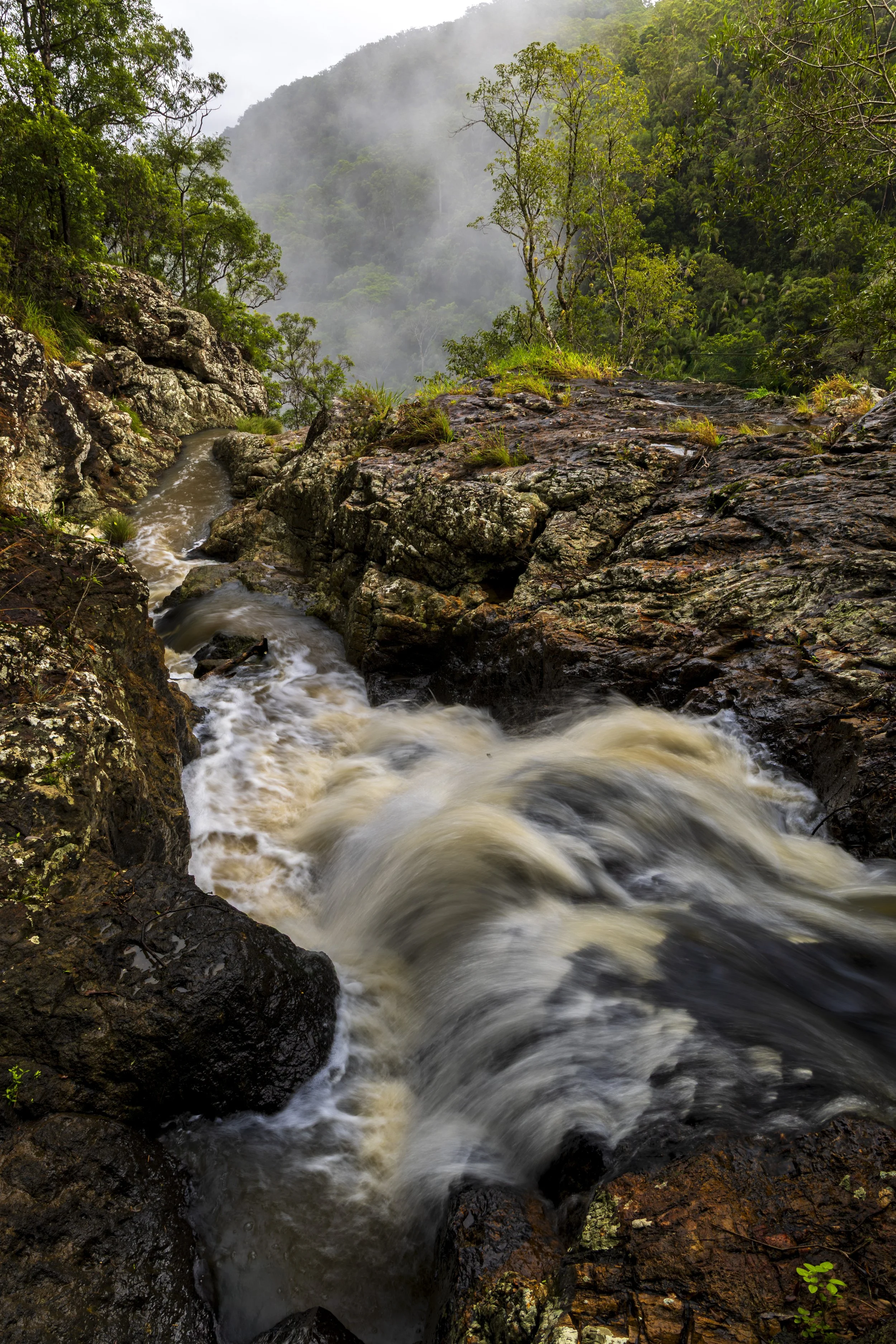 _MGL5291-Edit.jpg