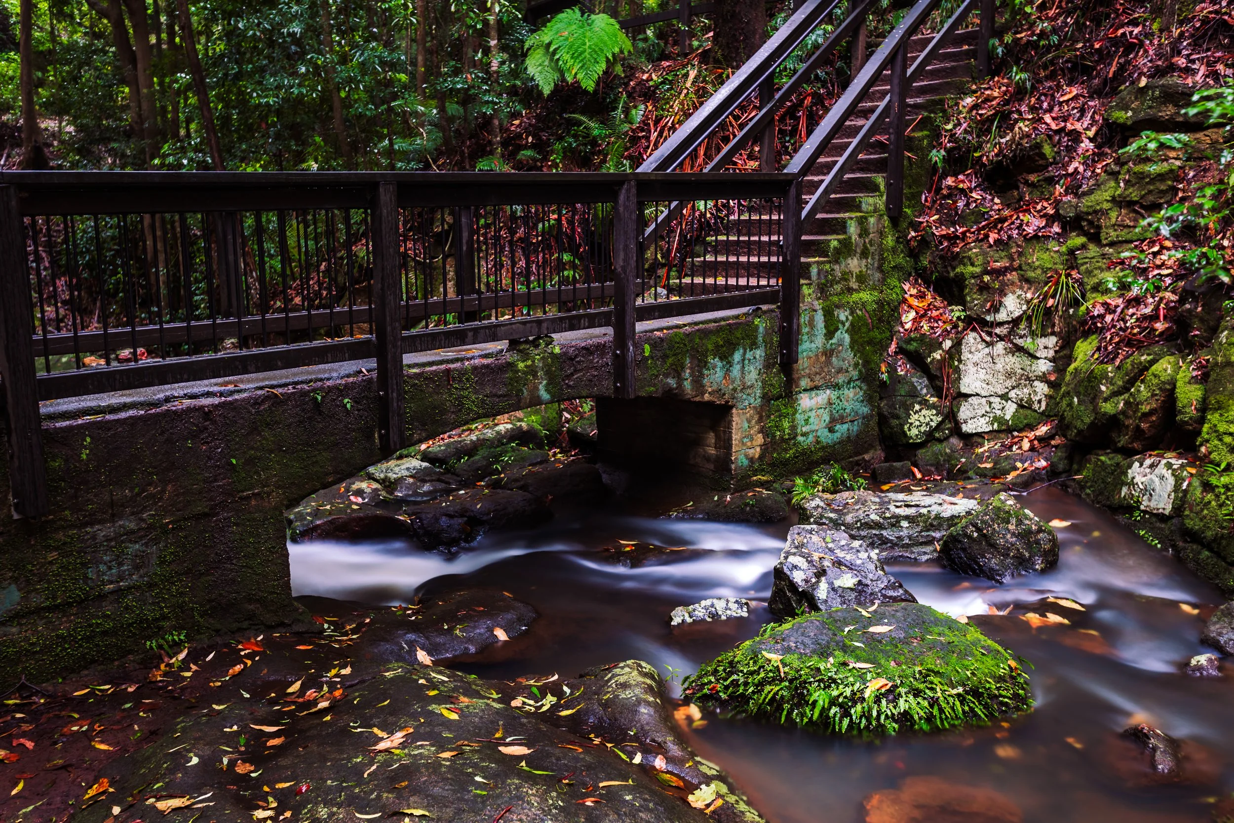 1S5A0185-Edit.jpg