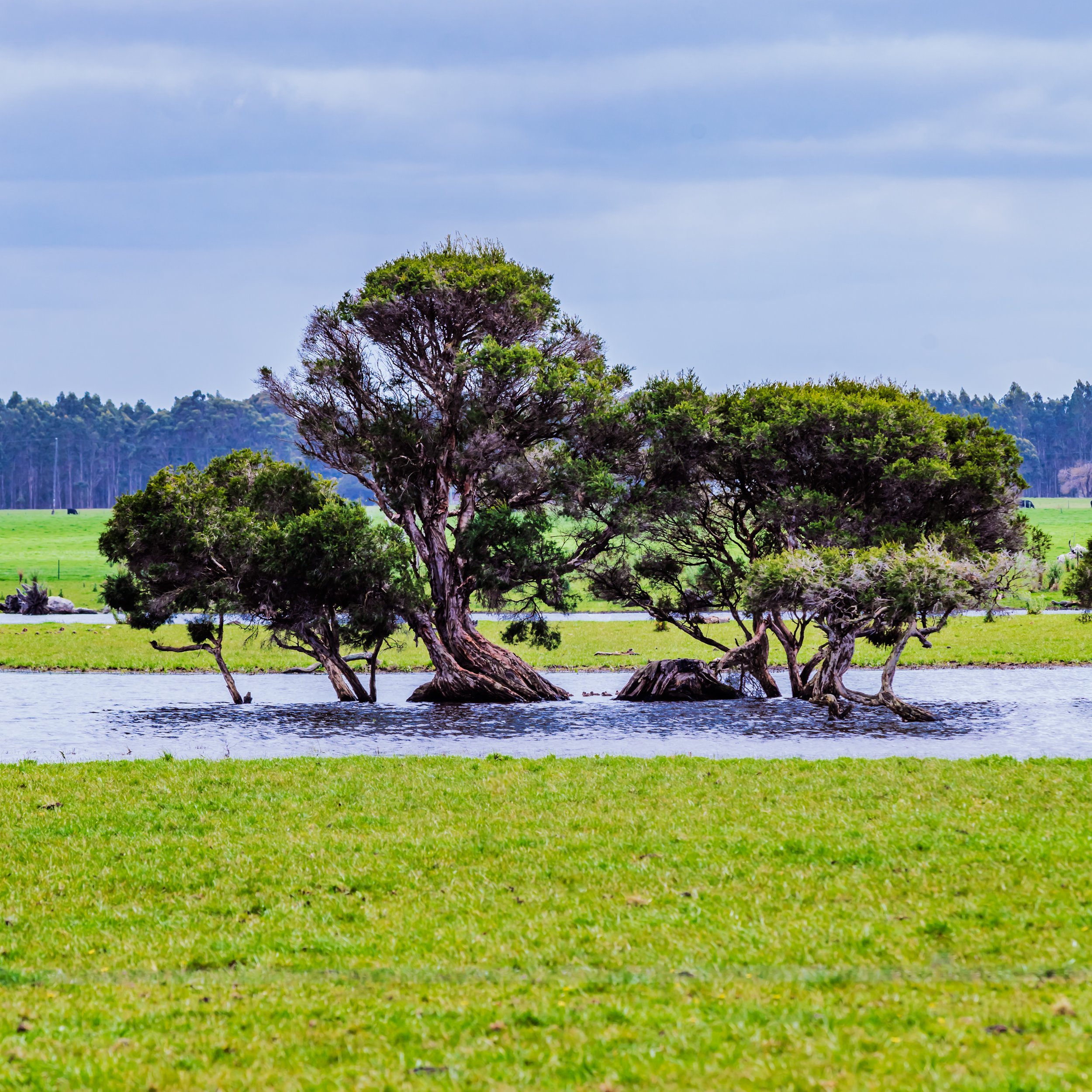 IMG_0067-Edit.jpg