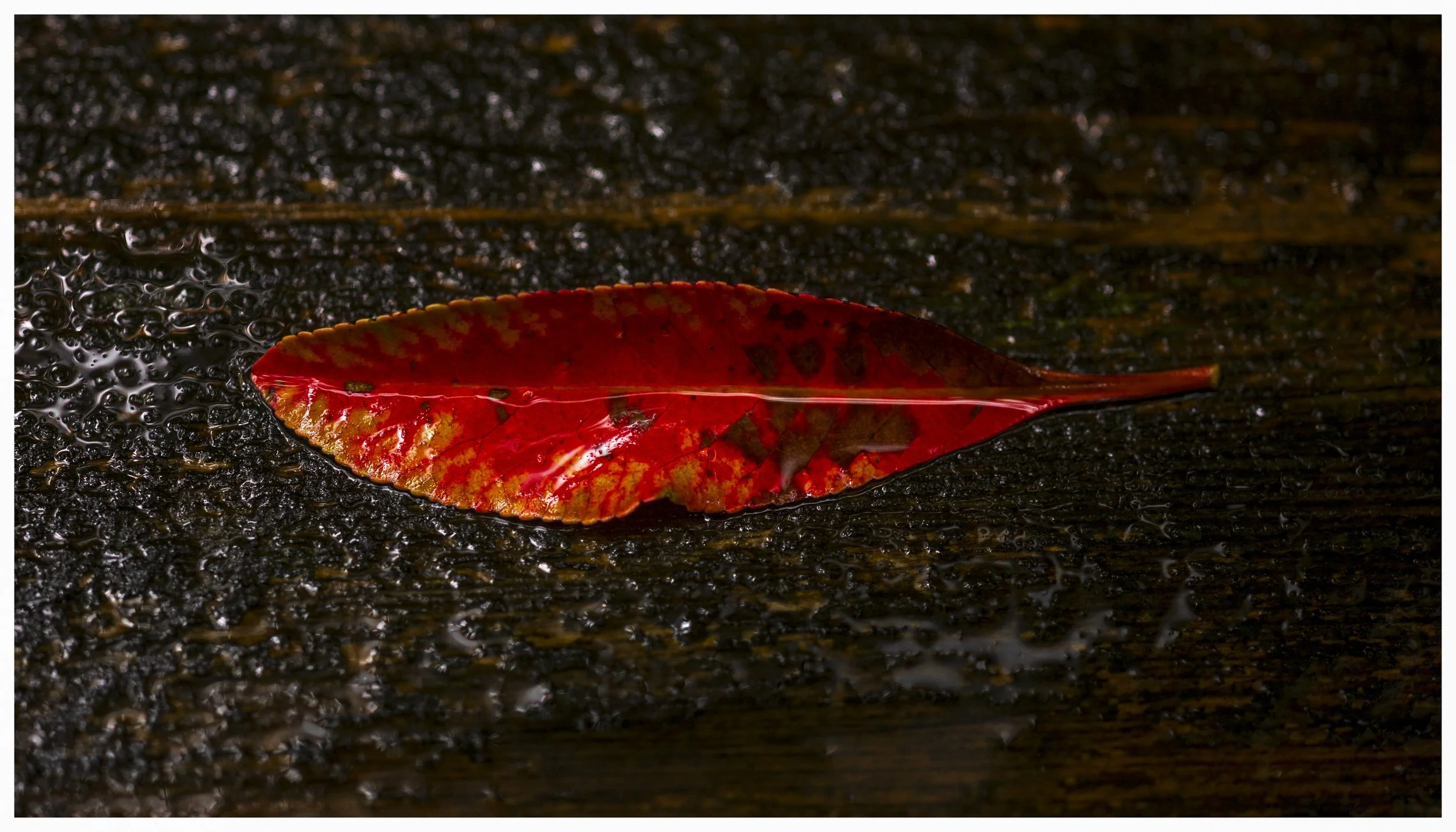 _MGL4939-Edit.jpg