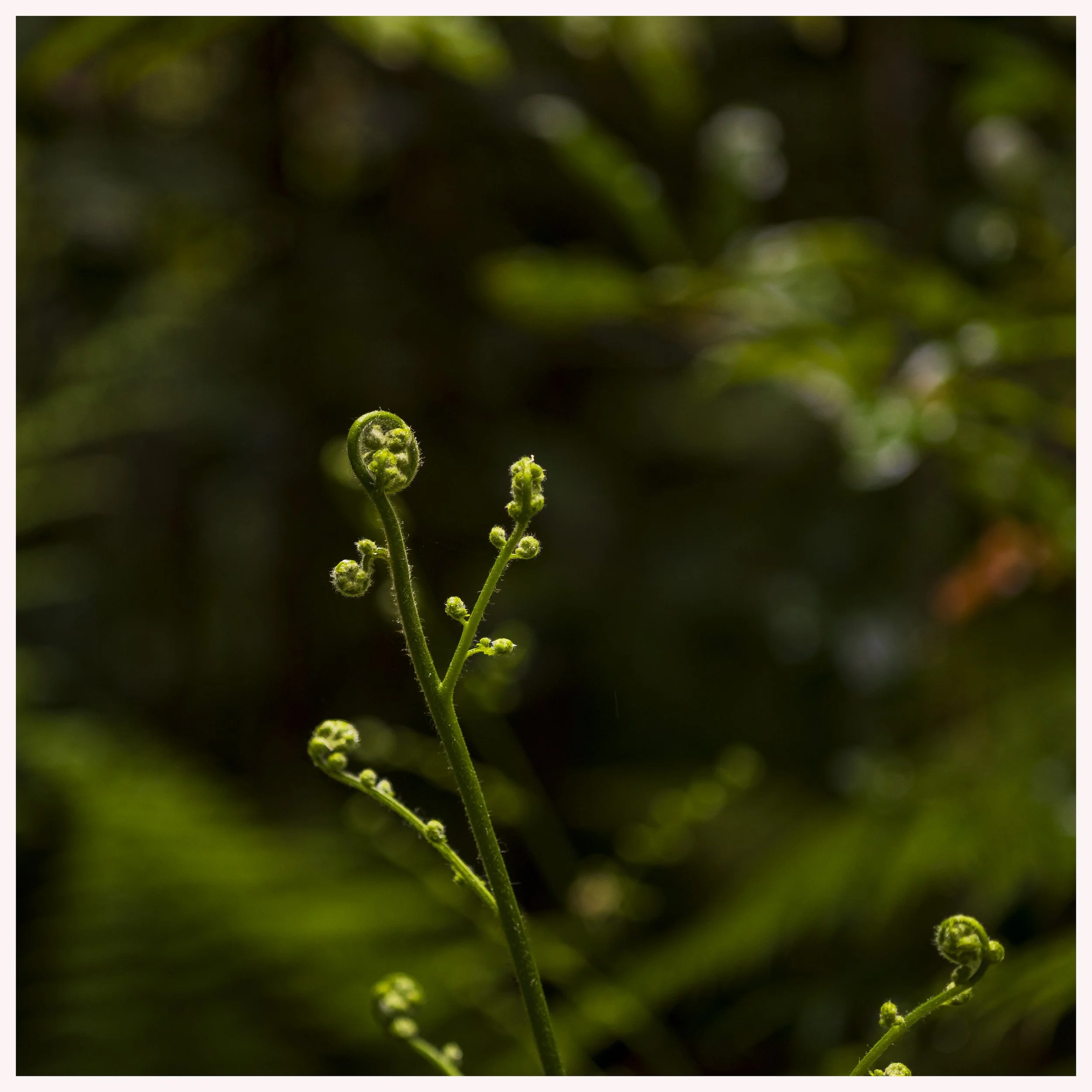 _MGL4937-Edit.jpg