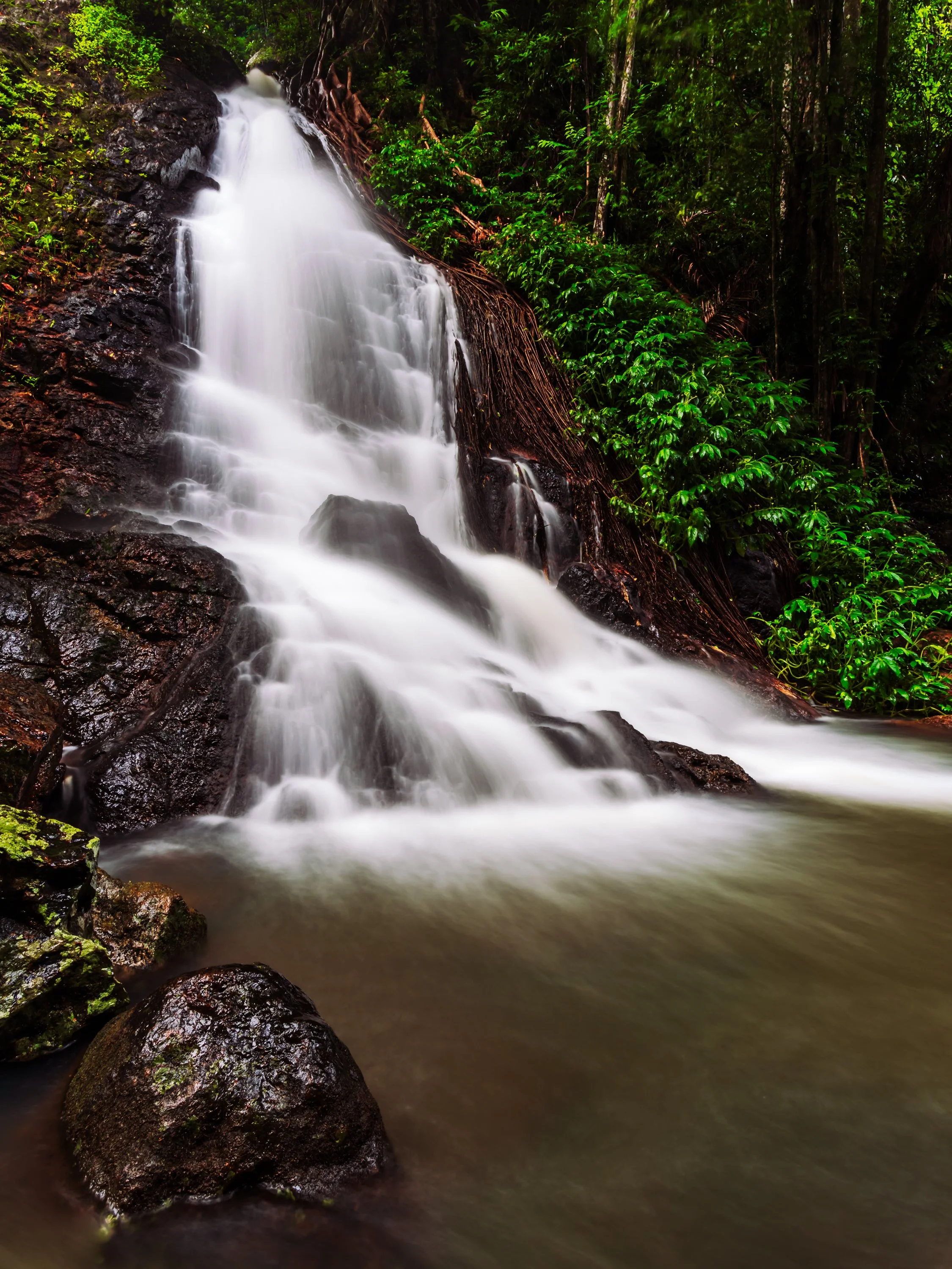 1S5A0305-Edit.jpg
