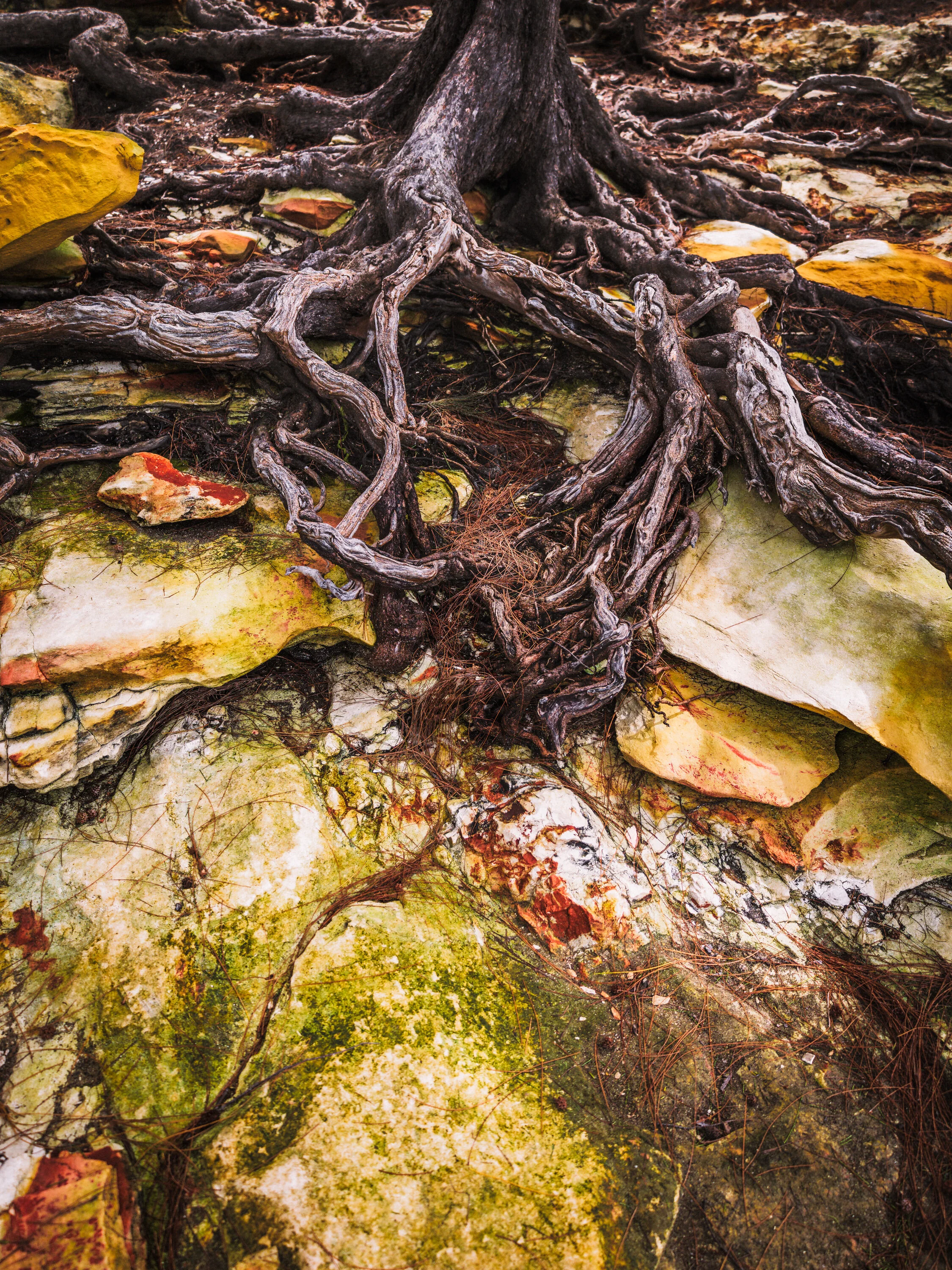 IMG_6850-Enhanced-Edit.jpg