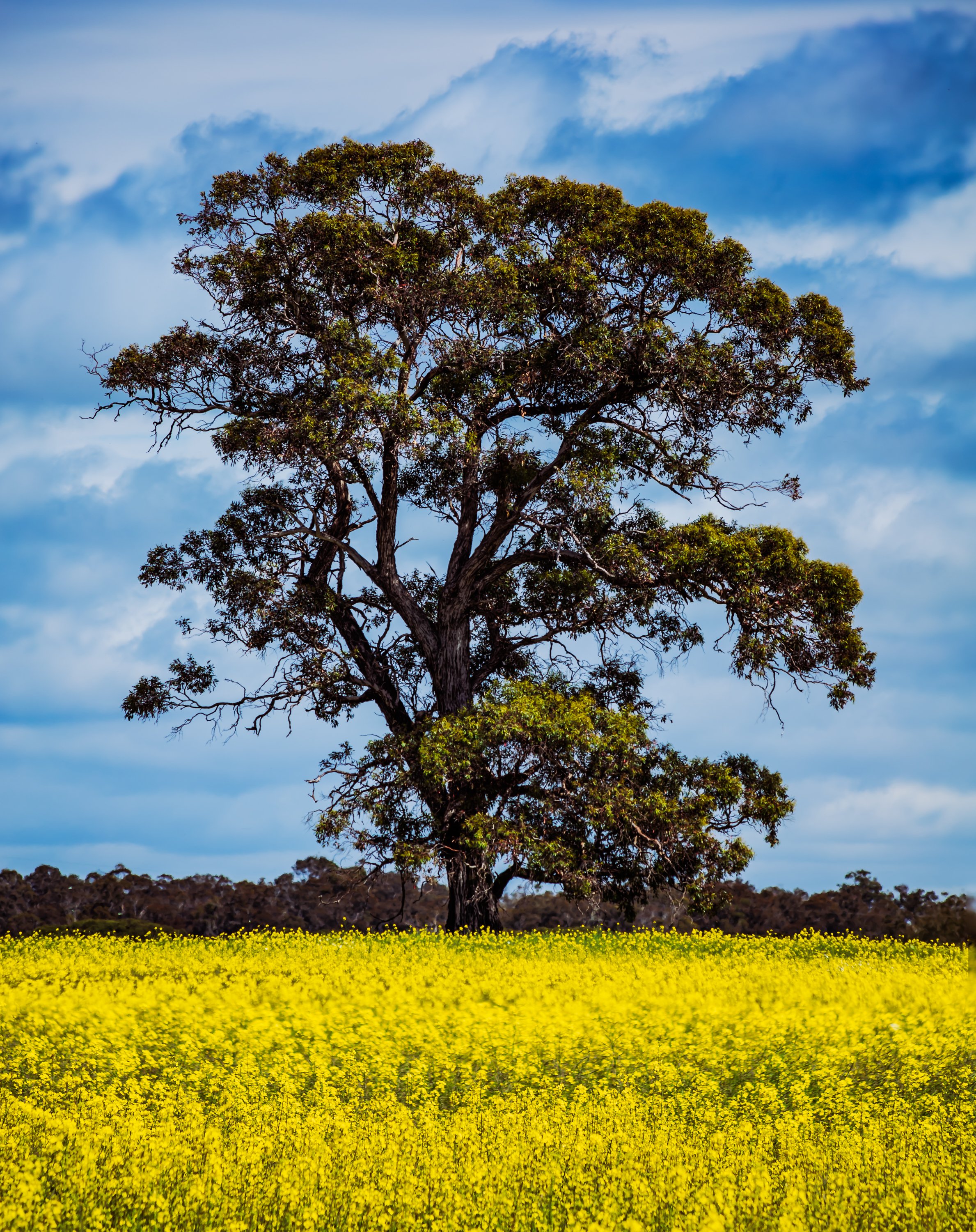 IMG_0322-Edit.jpg