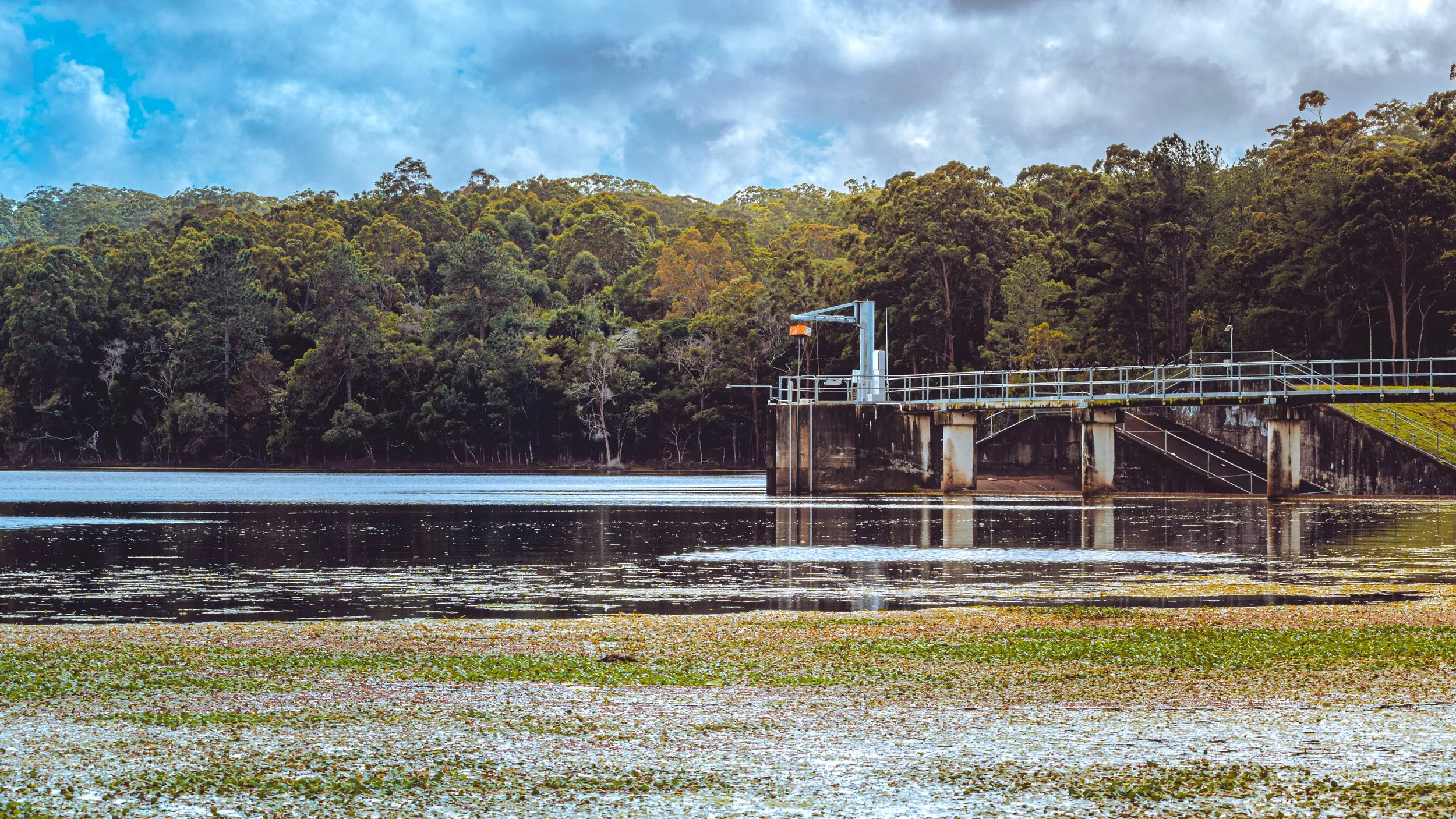 1S5A3934-Edit.jpg