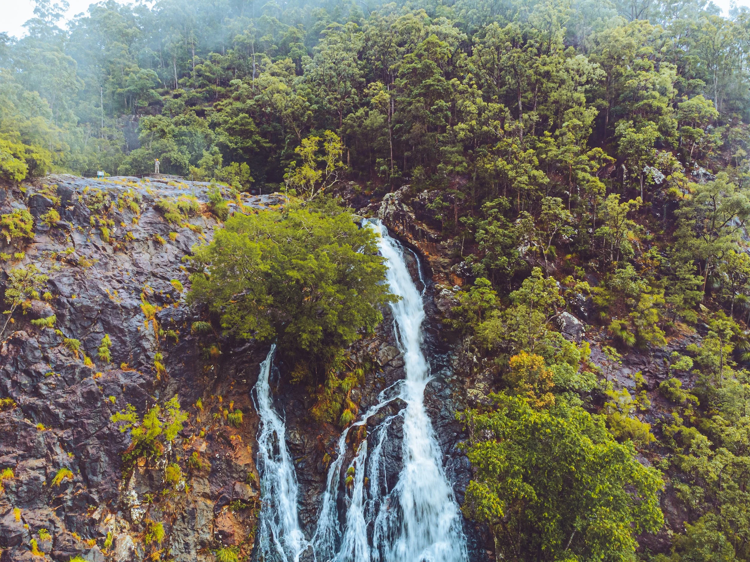 ashleykendrayKondillaFogFalls-7.jpg