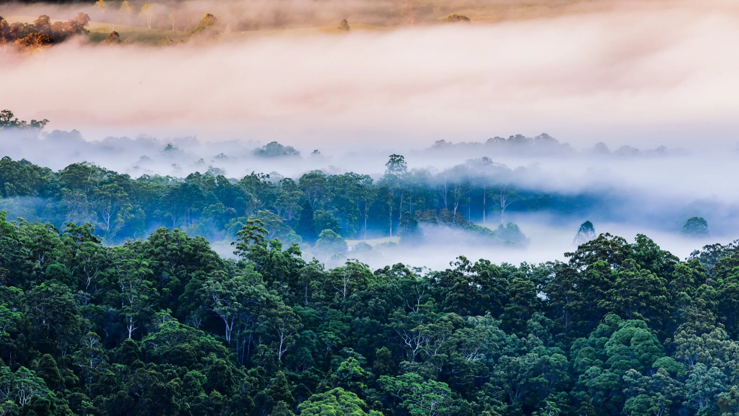 1S5A0718-Edit.jpg