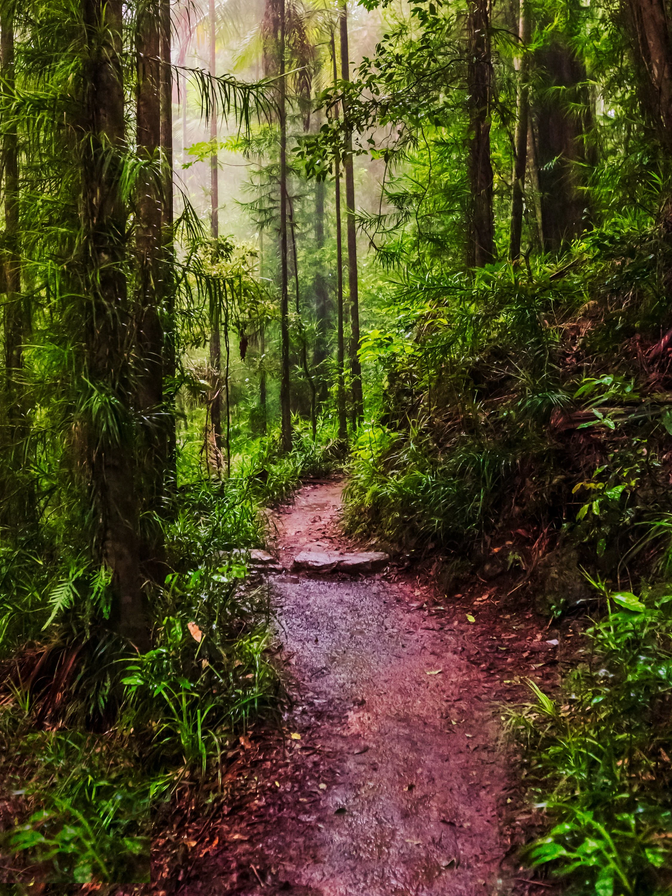1S5A0275-Edit.jpg