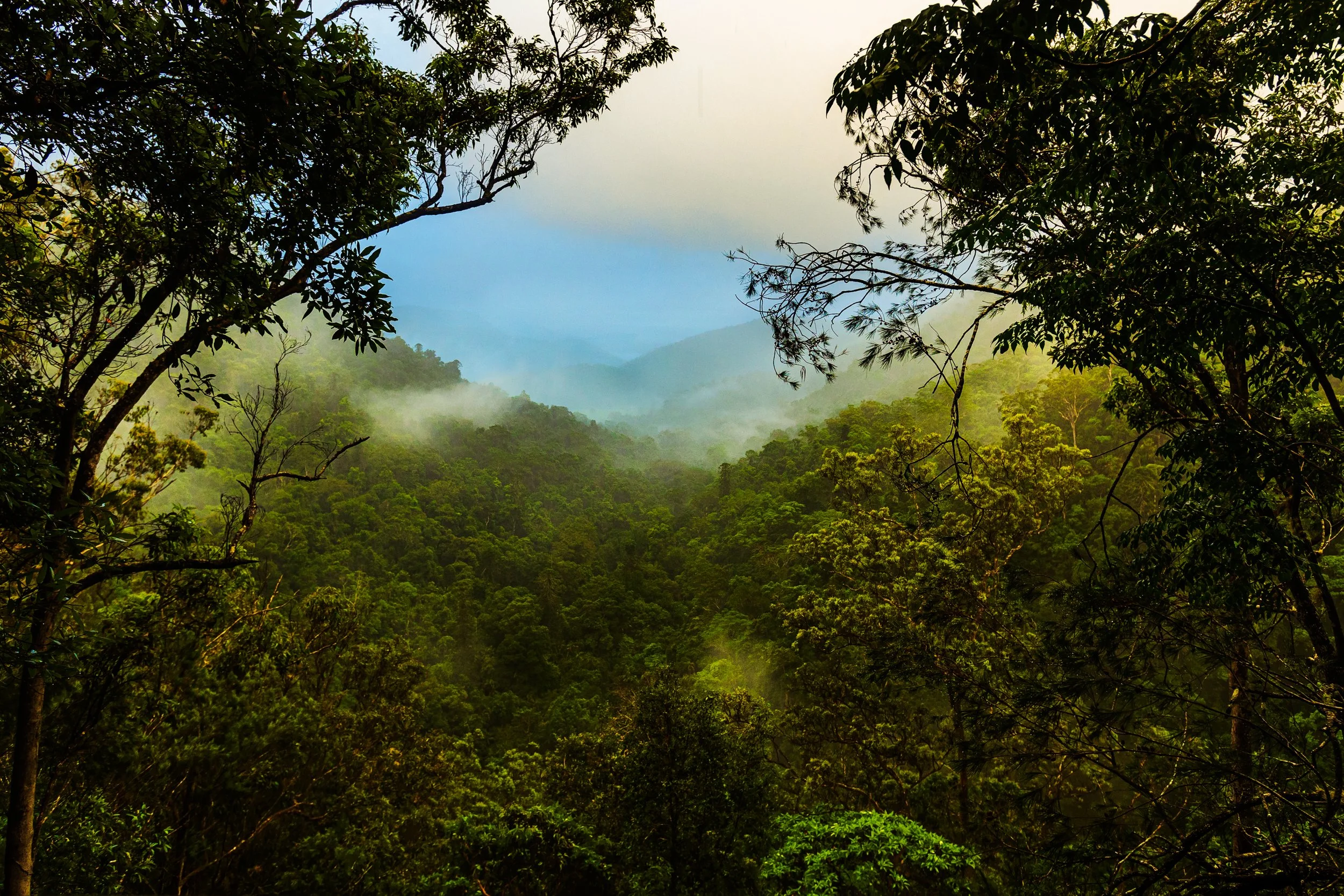 1S5A0209-Edit.jpg