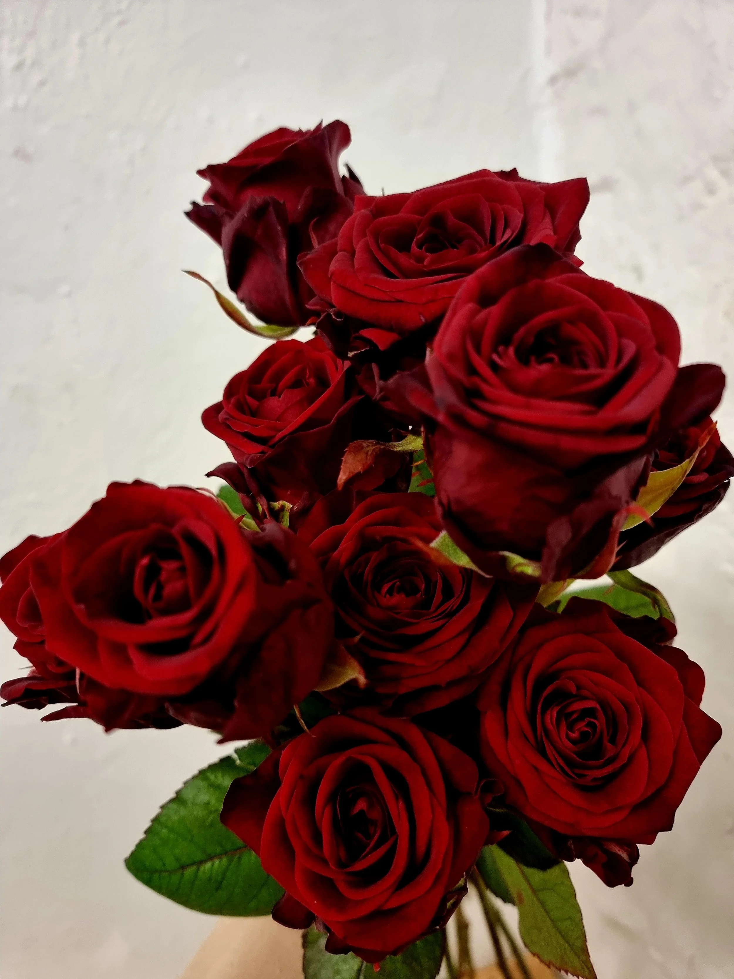 ALCHEMY Flower bouquet delivery , Falkirk, Stirling