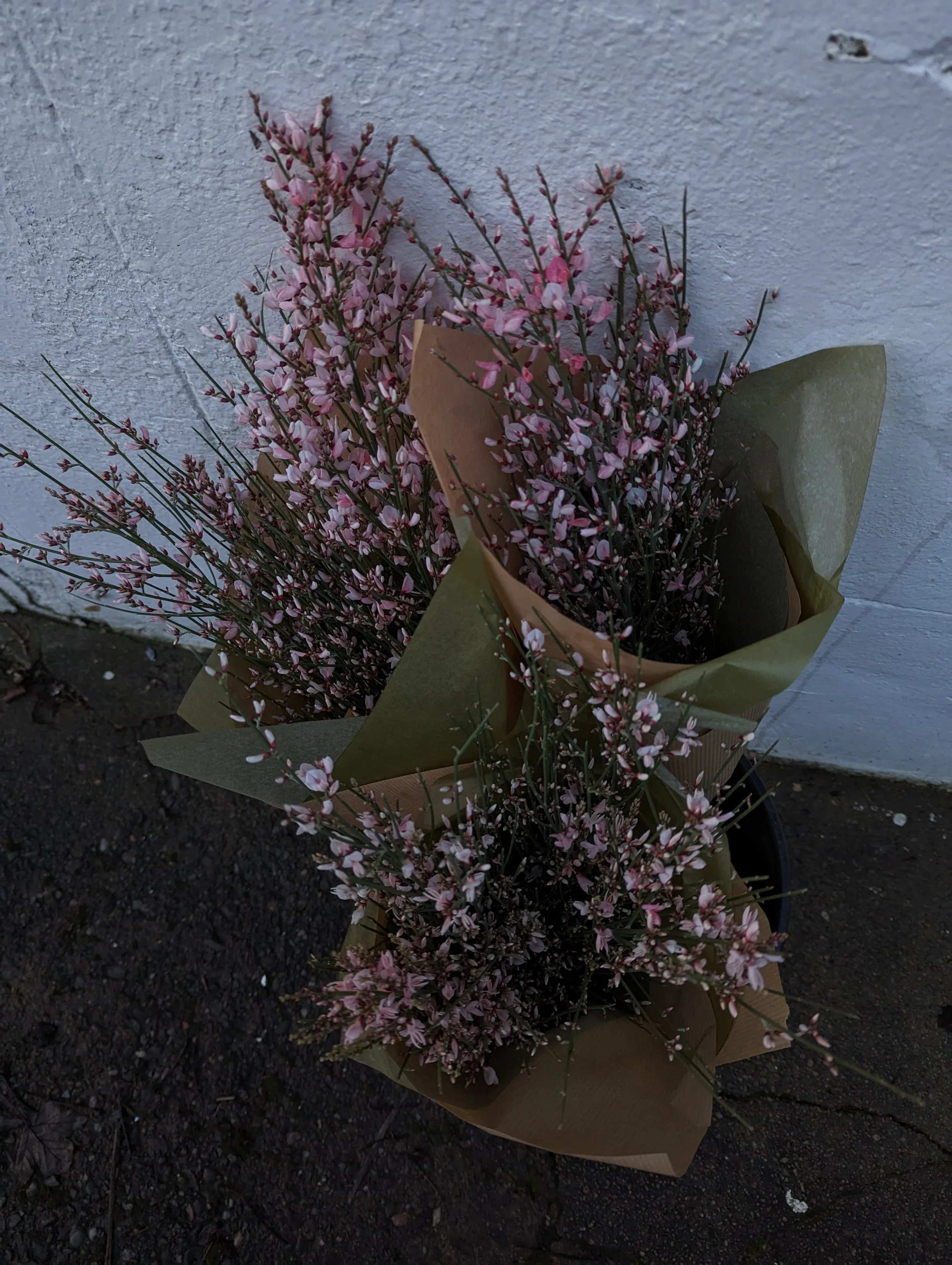 ALCHEMY Flower bouquet delivery , Falkirk, Stirling