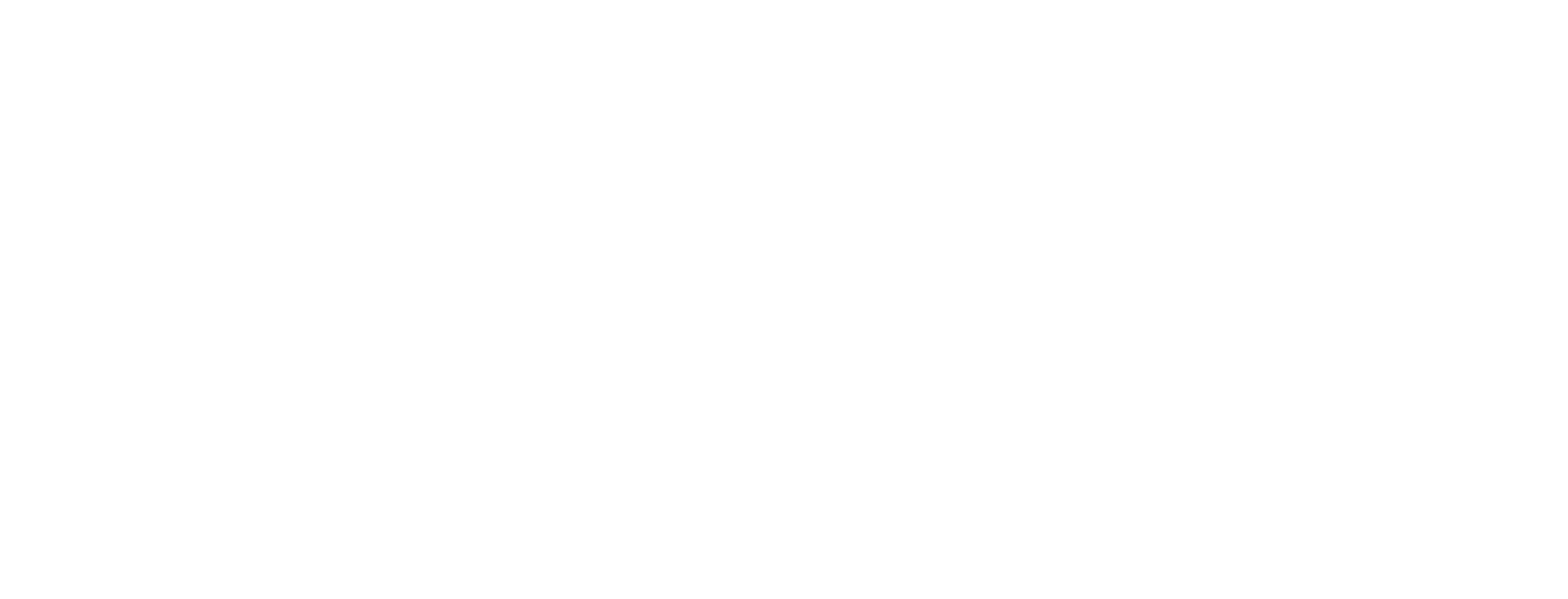 English logo - White (PNG).png
