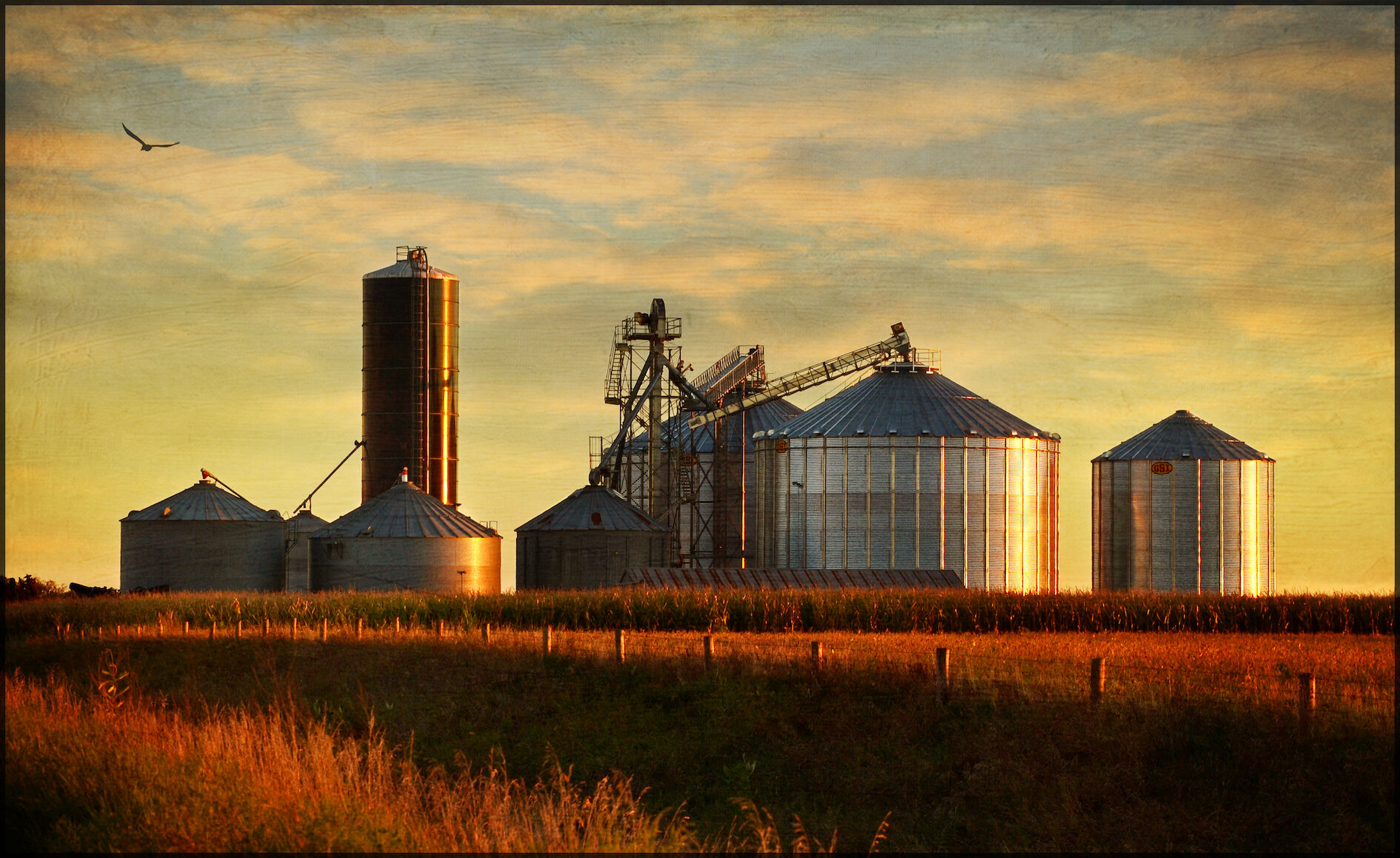 A Rebel and an Outlaw: Disruption In Agriculture