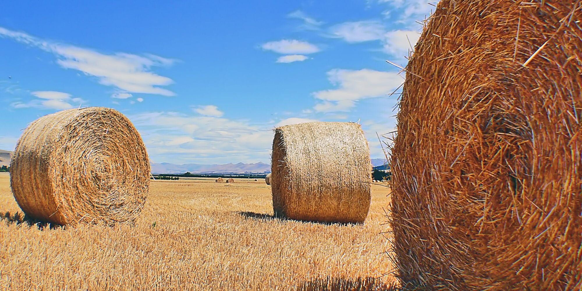 Designing for Farmers: 3 Empathy Traps