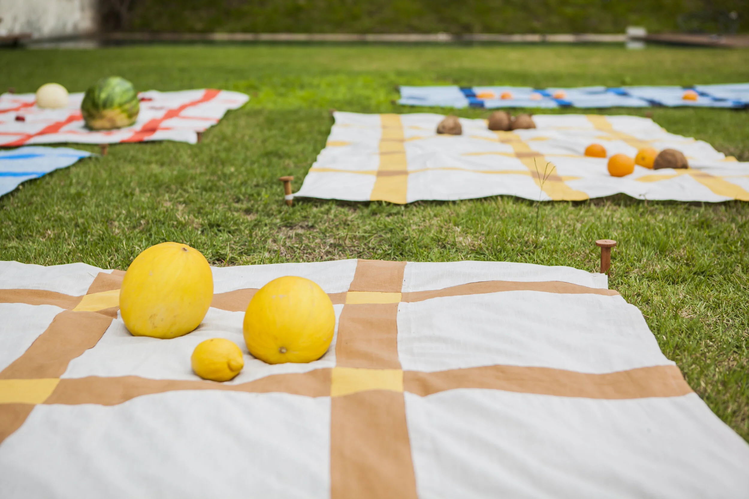 PICNIC