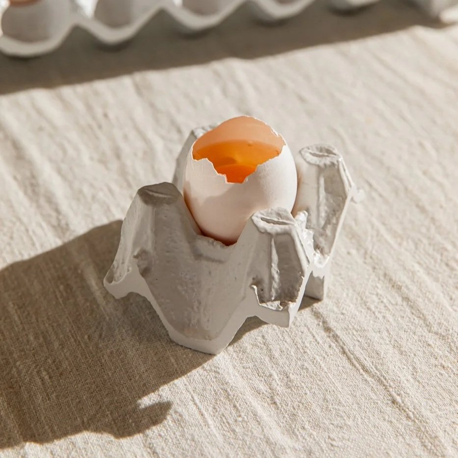 objeto PORTA OVOS_unitário