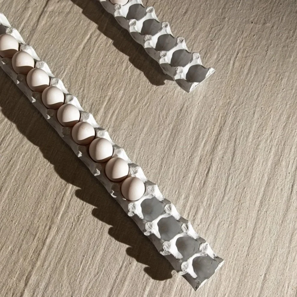 objeto PORTA OVOS_meia dúzia