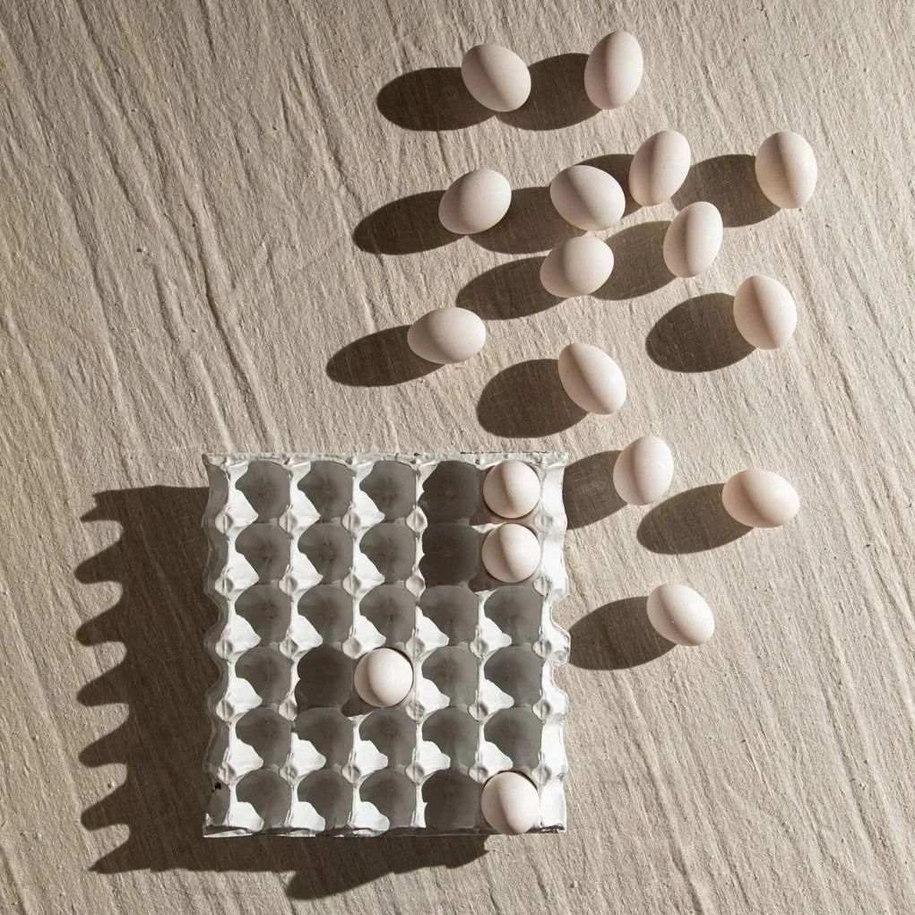 objeto PORTA OVOS_pente 30