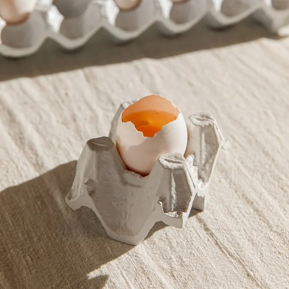 objeto PORTA OVOS_unitário