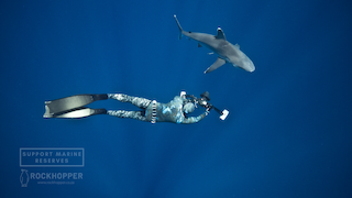 Online Team Building supports Marine Reserves