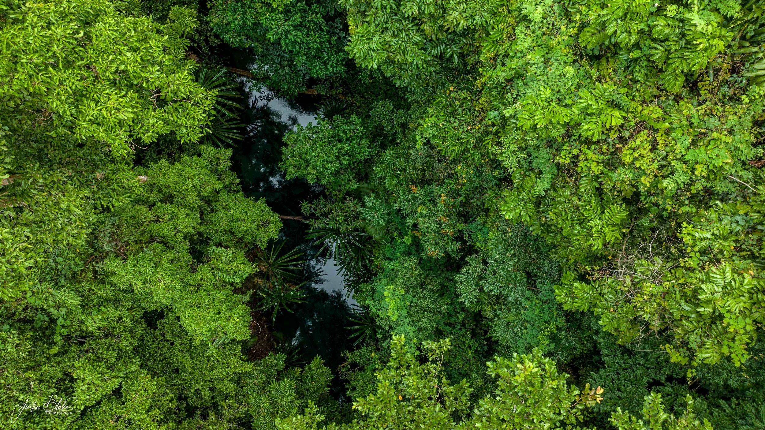 A glimpse into the blue river.jpg