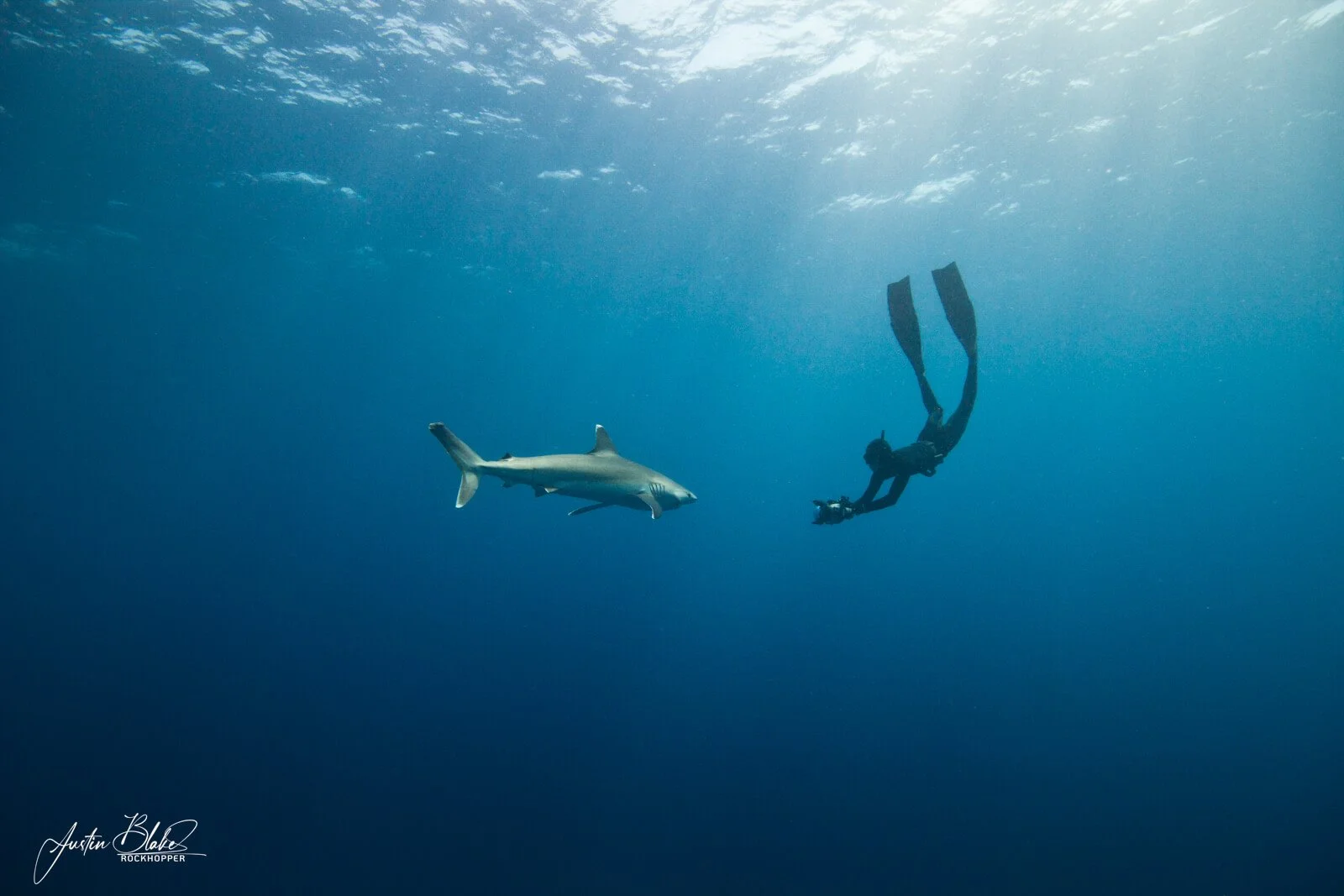 306-Justin Blake2.jpg