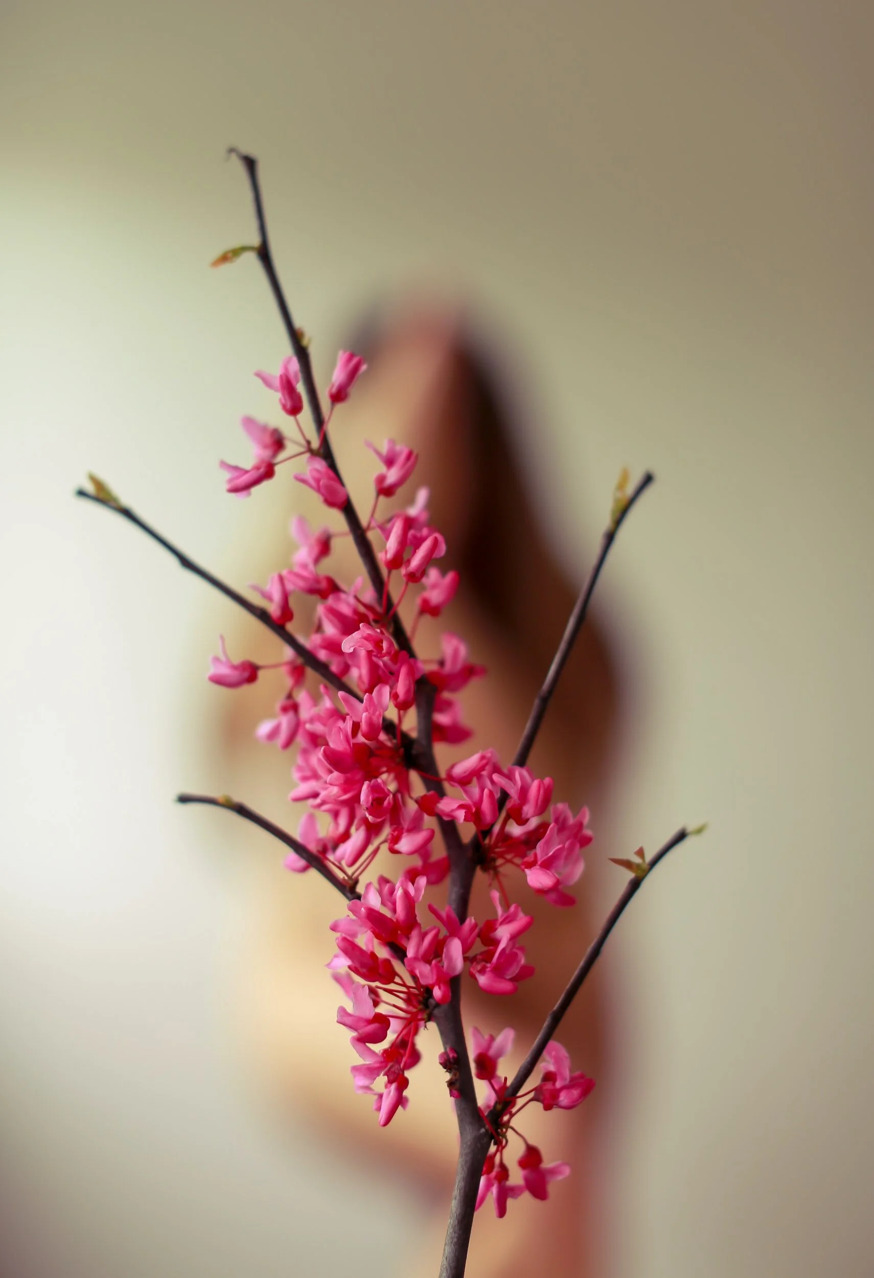 Playlists for week Monday 22nd - Friday 26th February