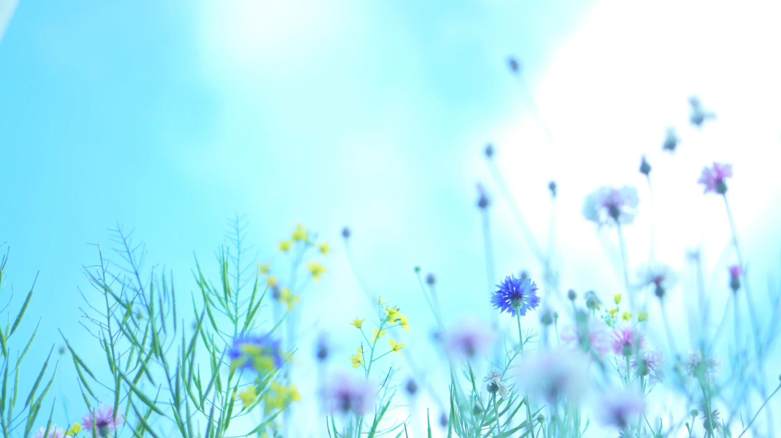 Soulful Wellness Month