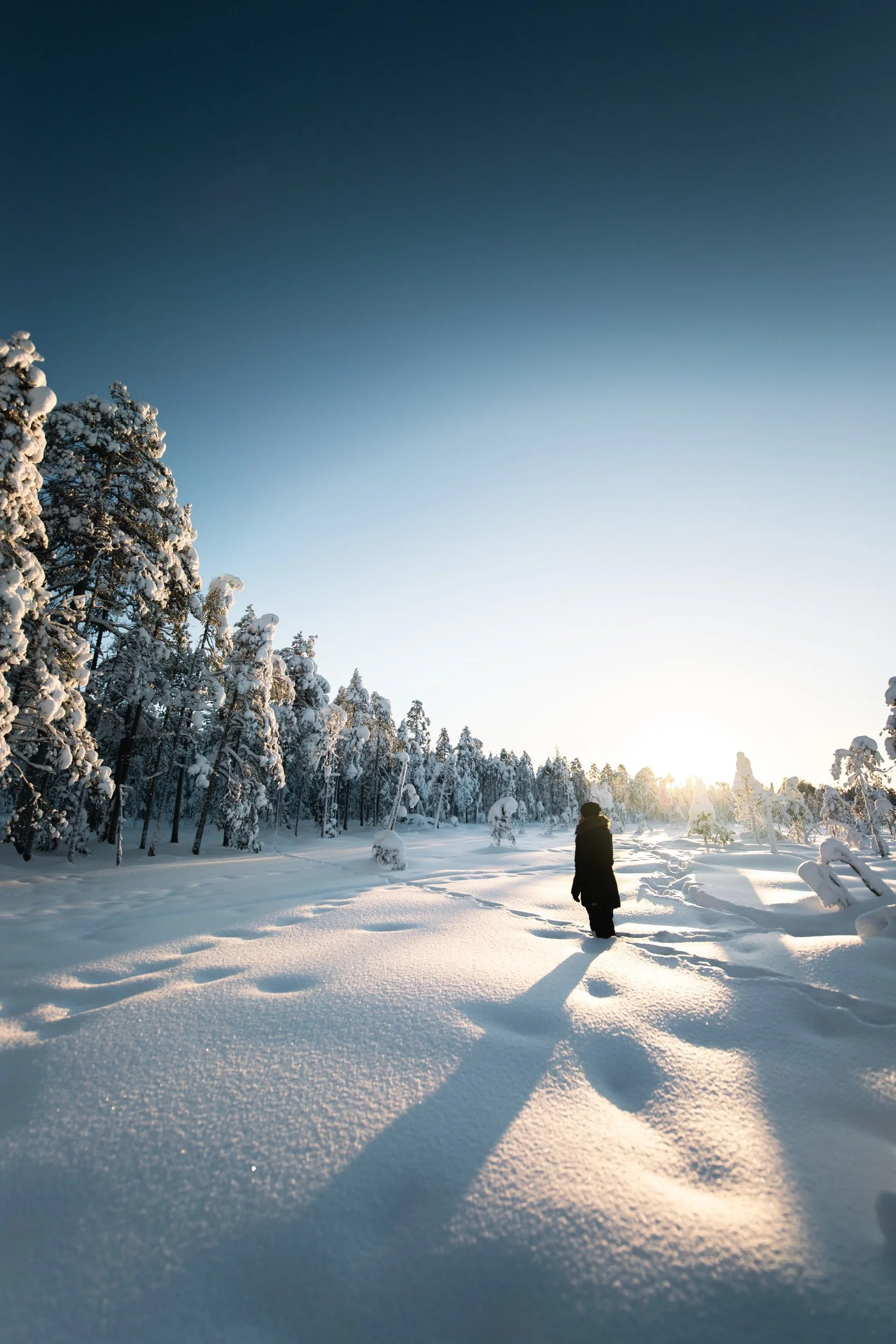 Classes re-start for 2022 - playlists for this month