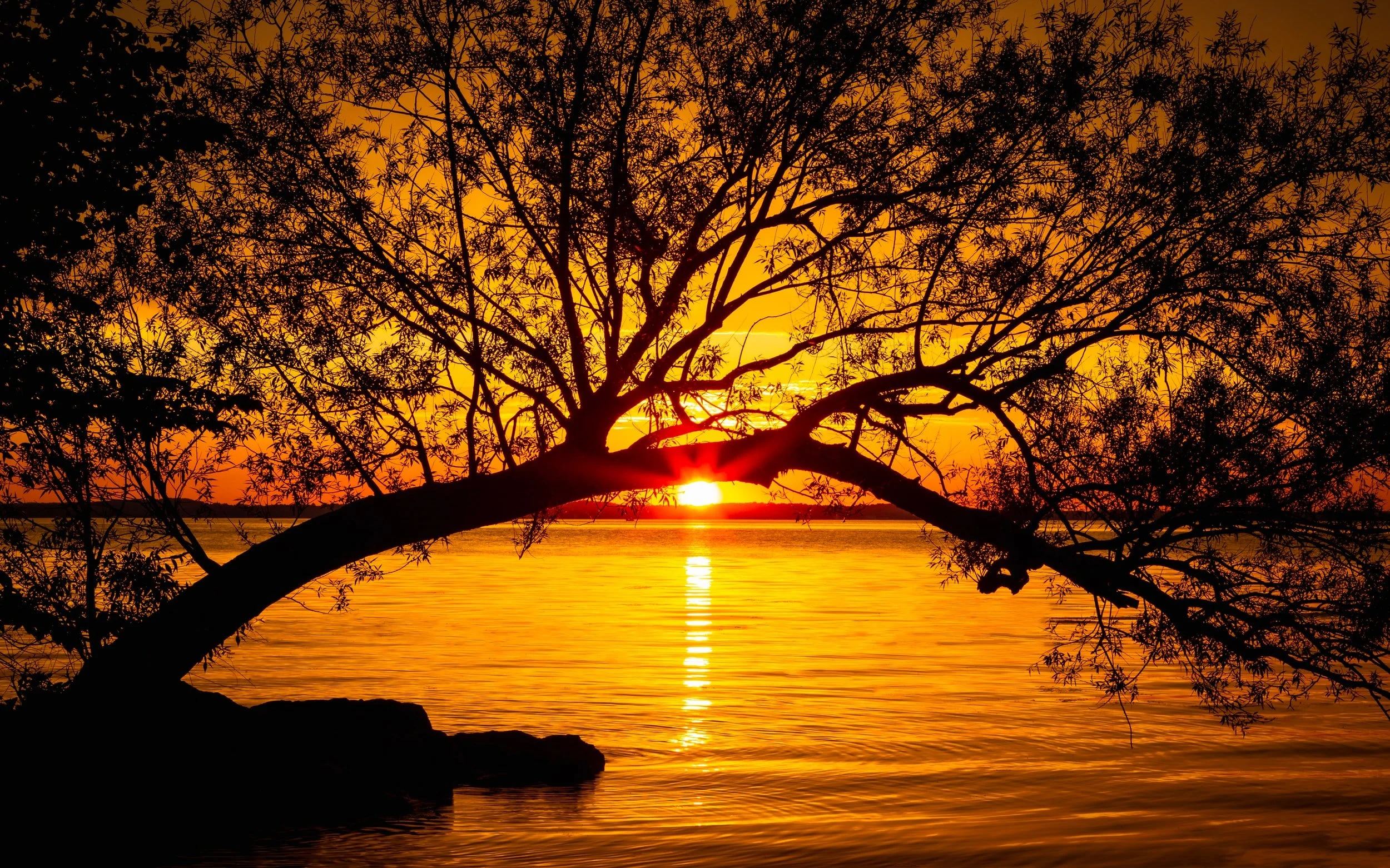 Summer Solstice Week - classes and playlist
